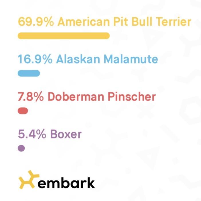 Enlarge Noelle (foster), a Adoptable mixed breed in Belleville, IL image 4/4
