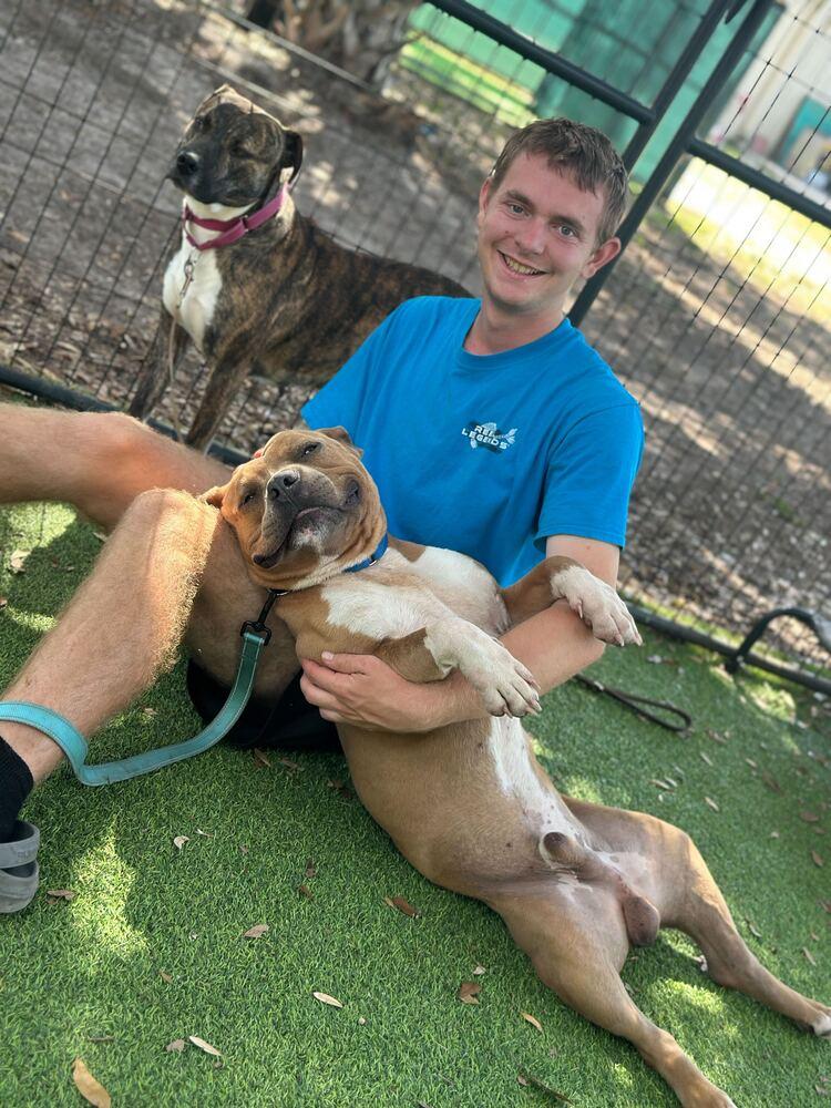 Enlarge Tulle Aka Tullie, a Adoptable mixed breed in Lakeland, FL image 5/6