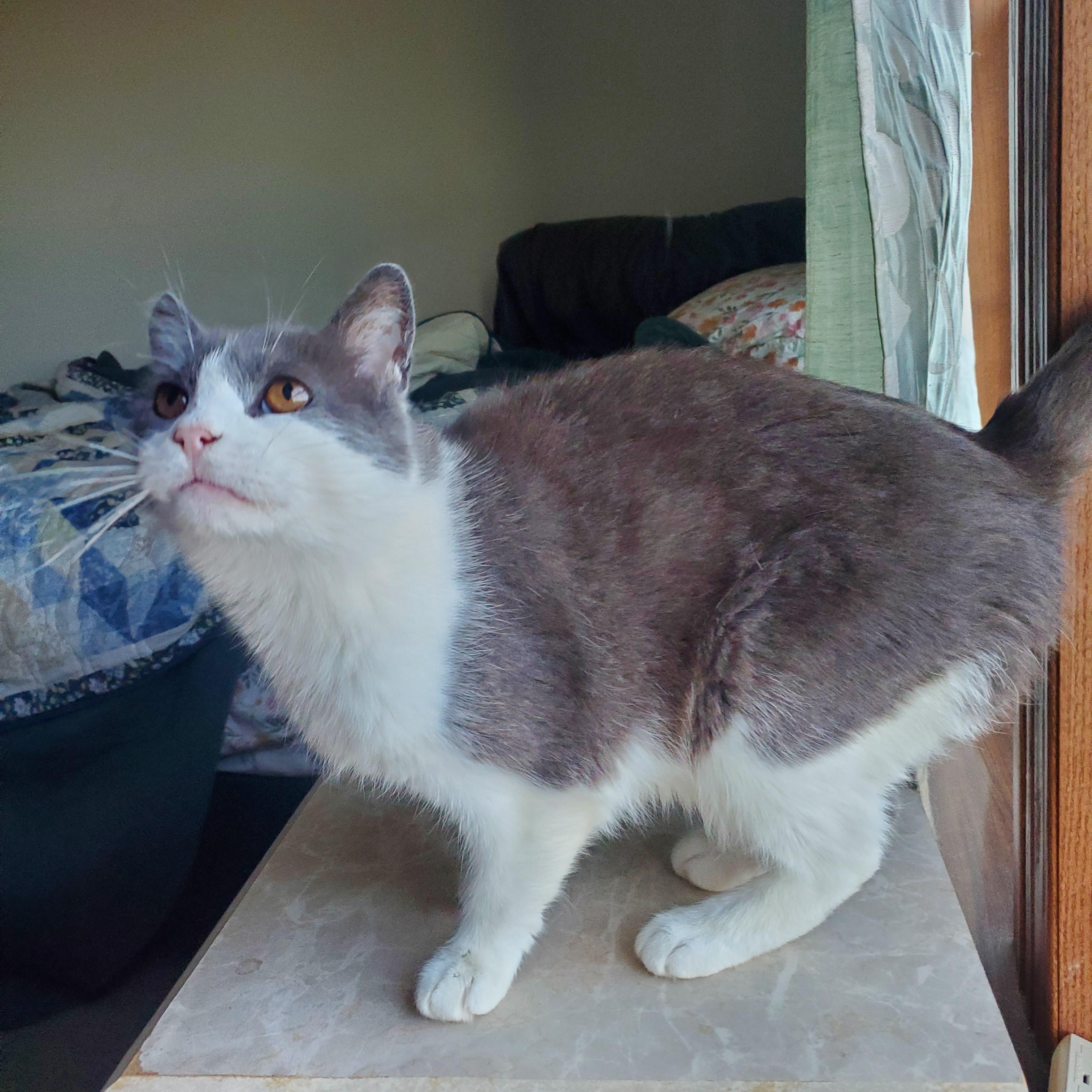 Tom