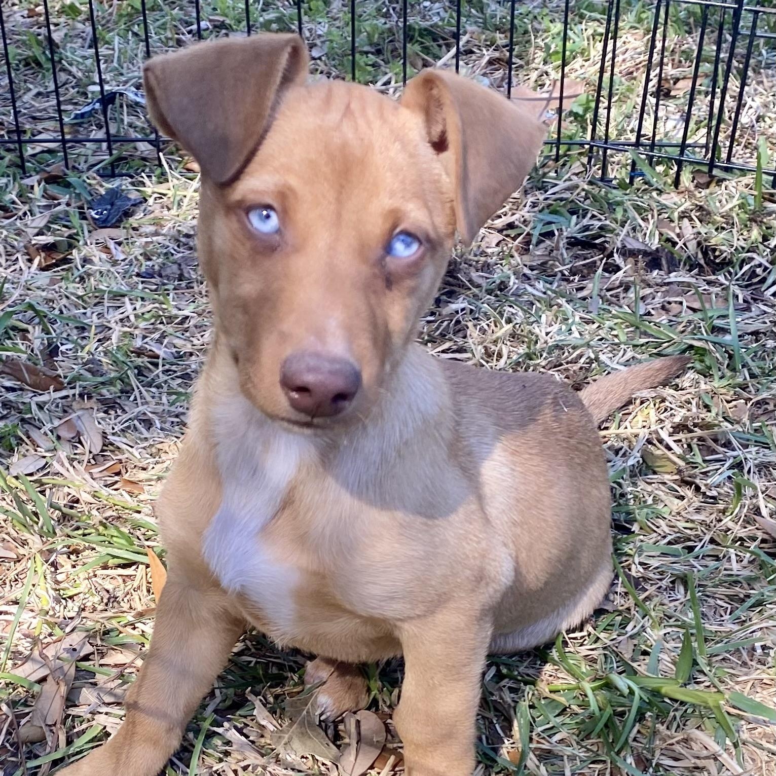 Hallie — thumbnail 2