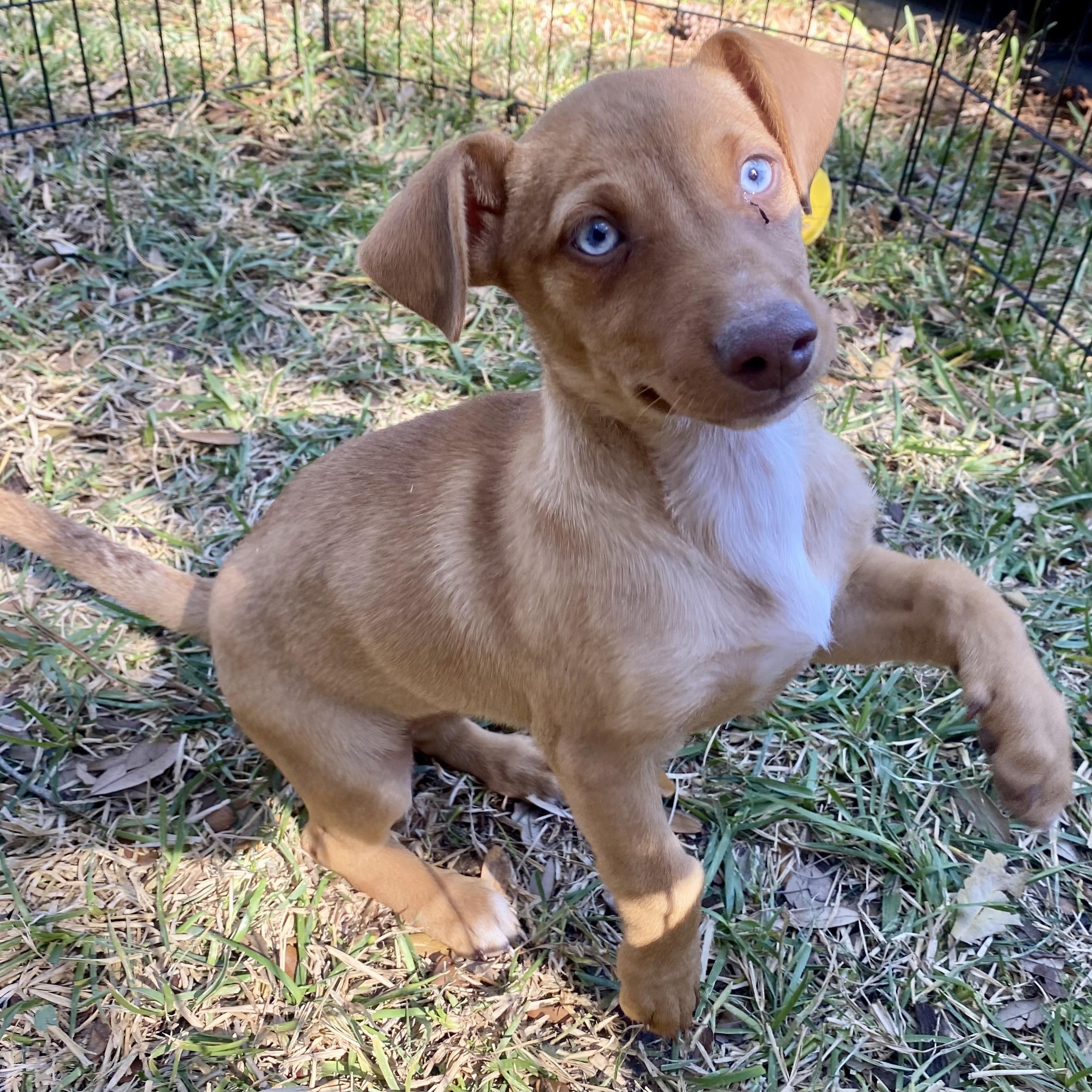 Hallie — thumbnail 4