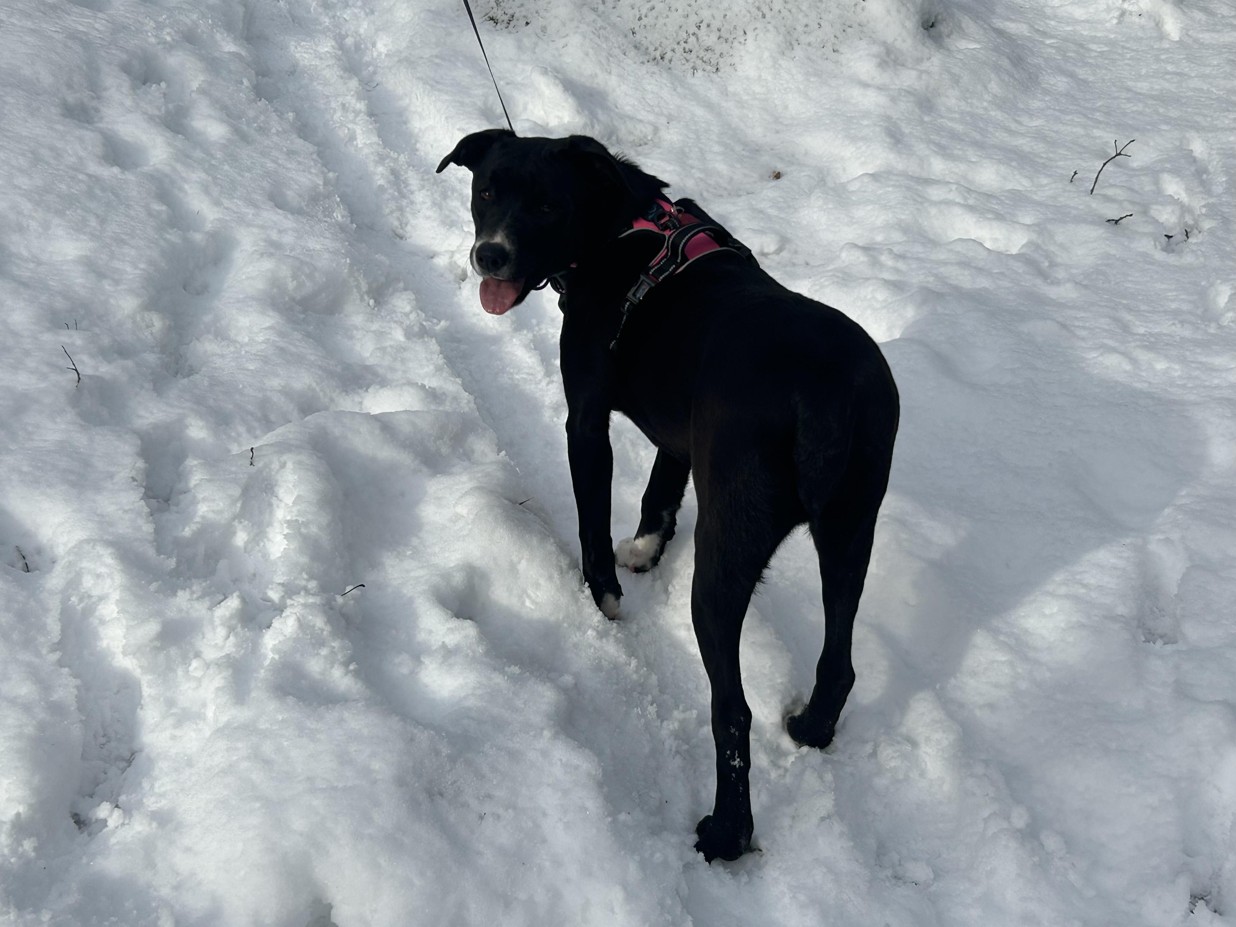 Marigoldcome Meet Me! thumbnail 2