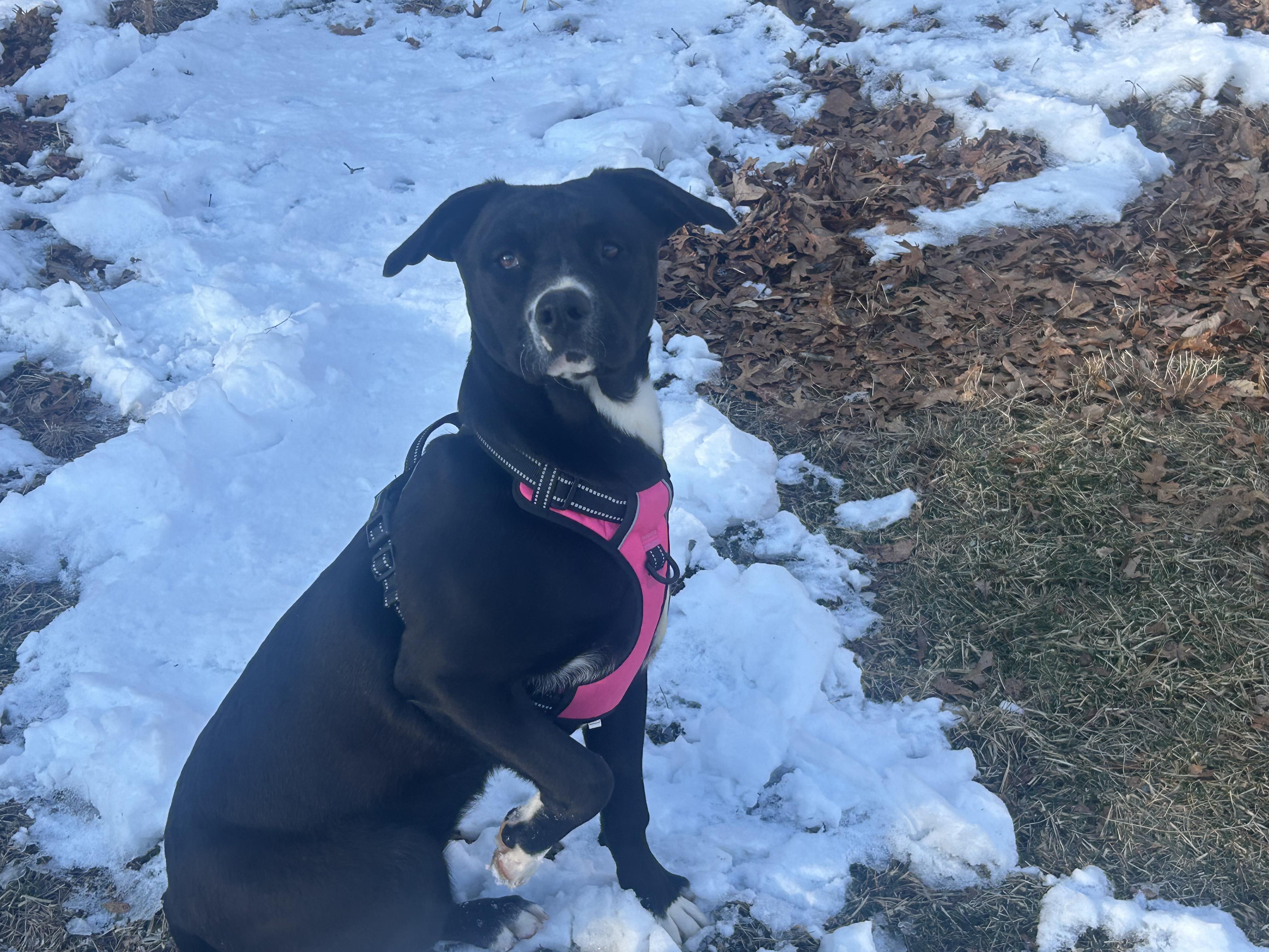 Marigoldcome Meet Me! thumbnail 3