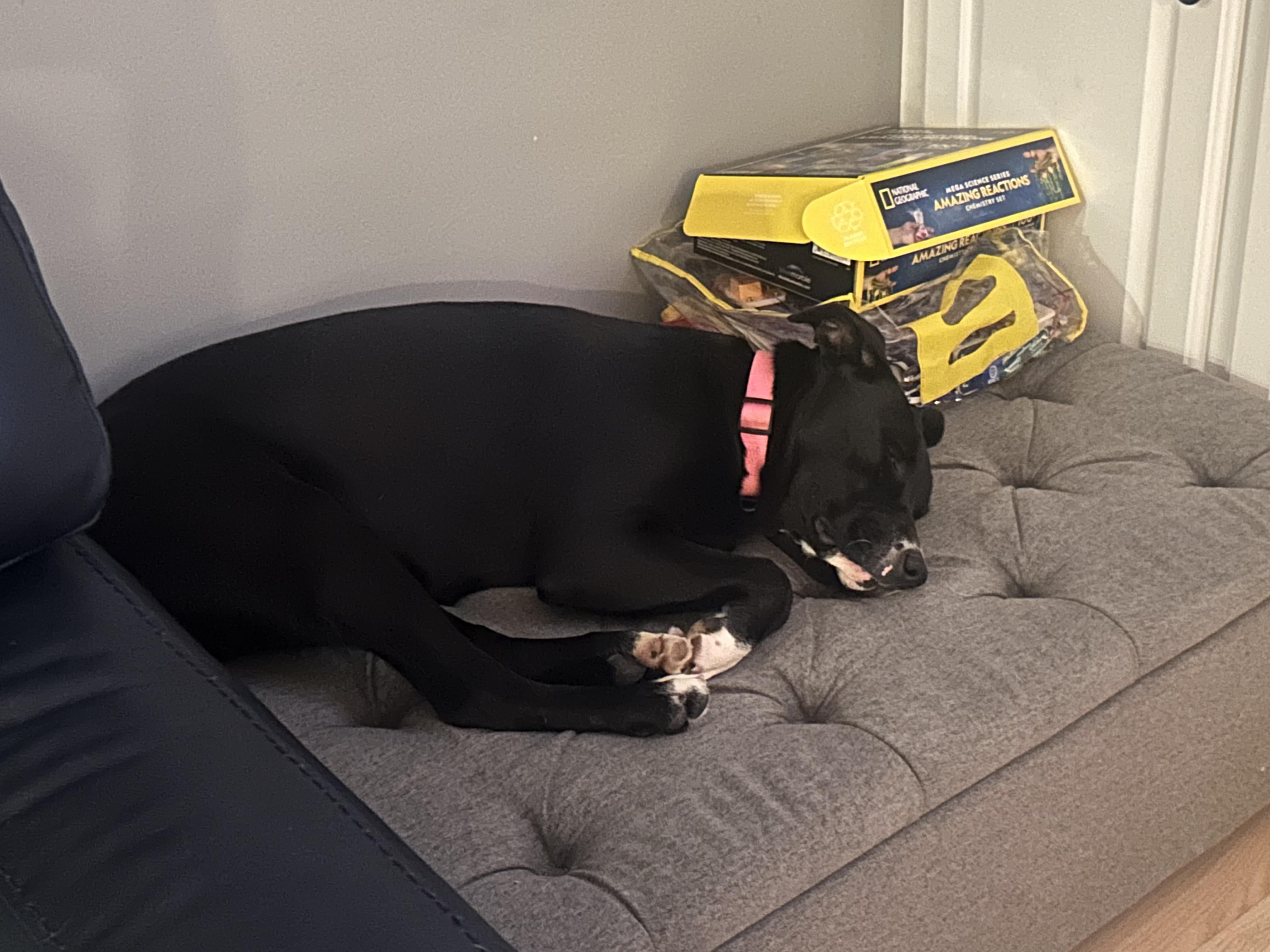 Marigoldcome Meet Me! thumbnail 4