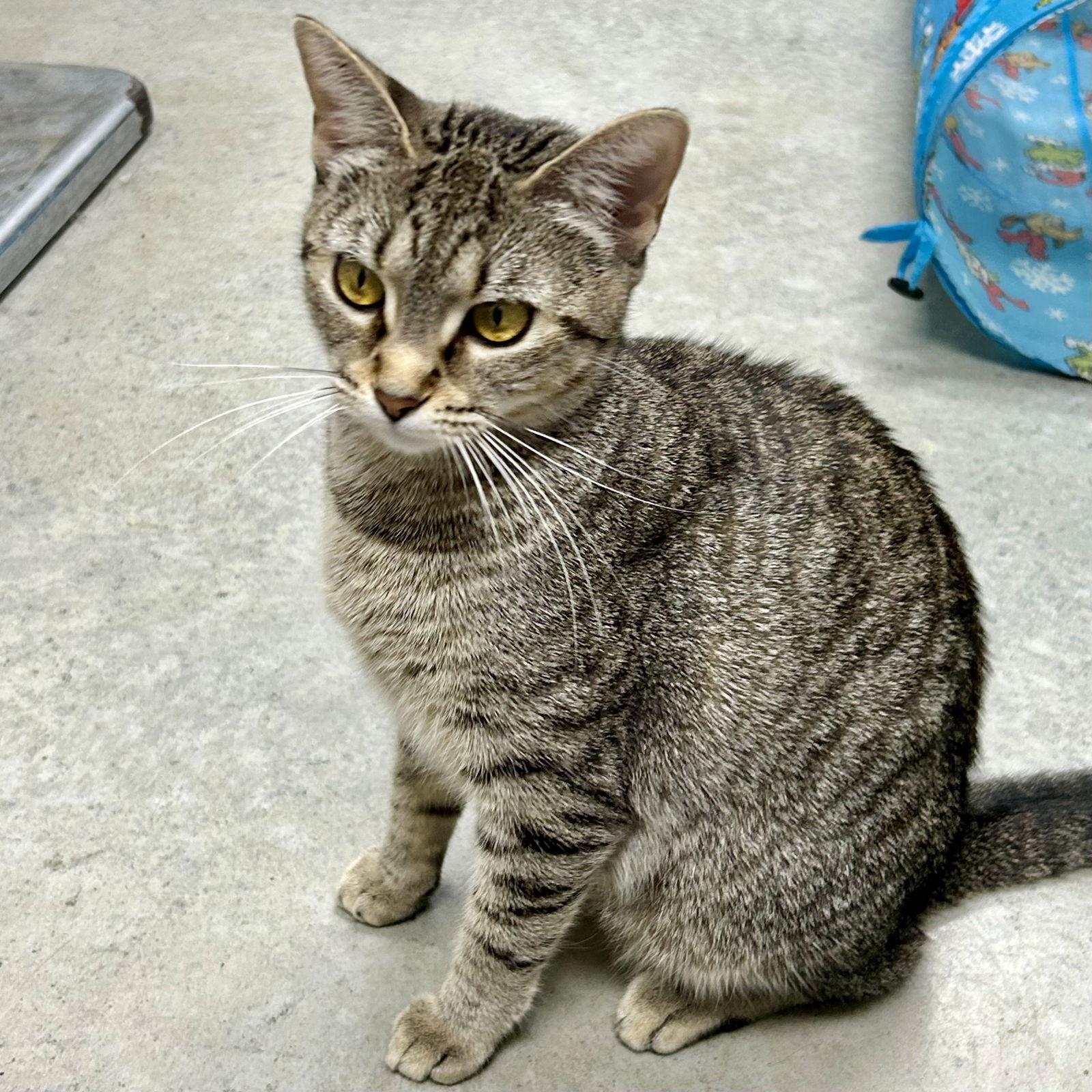 Emma Bonded With Marie