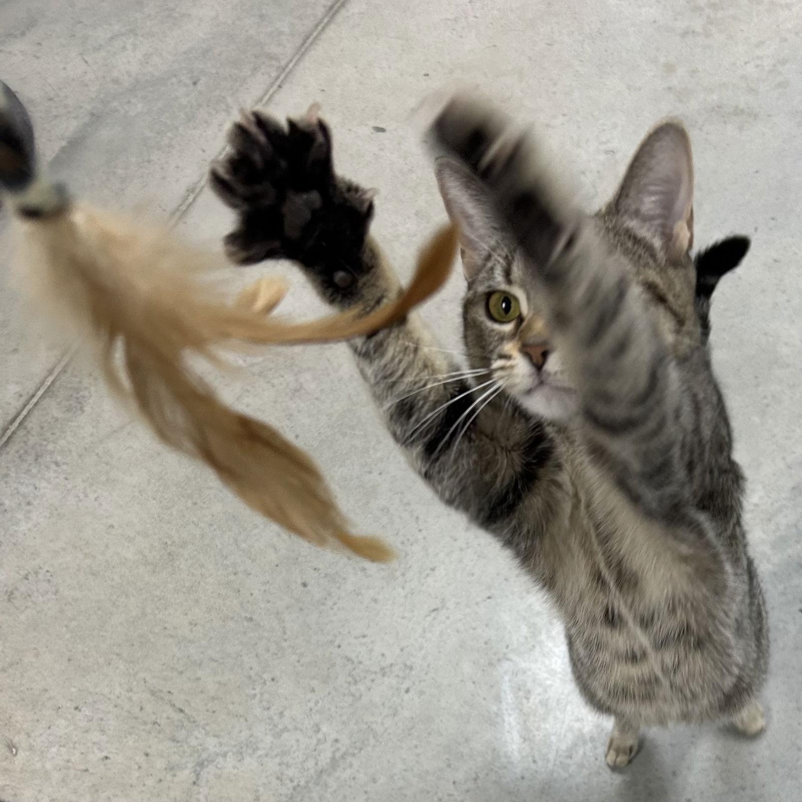 Emma Bonded With Marie thumbnail 3