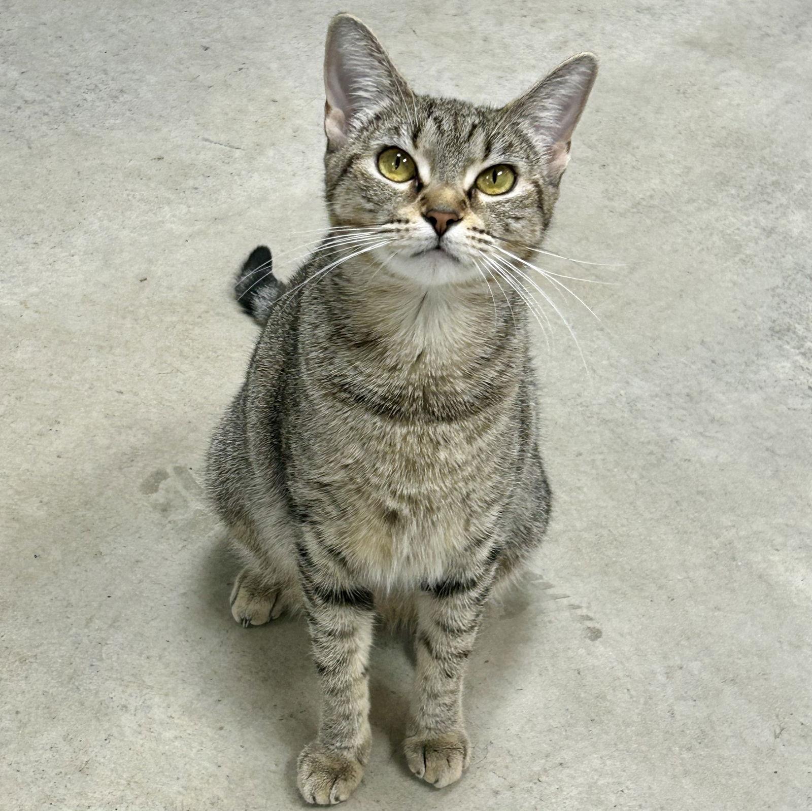 Emma Bonded With Marie thumbnail 4