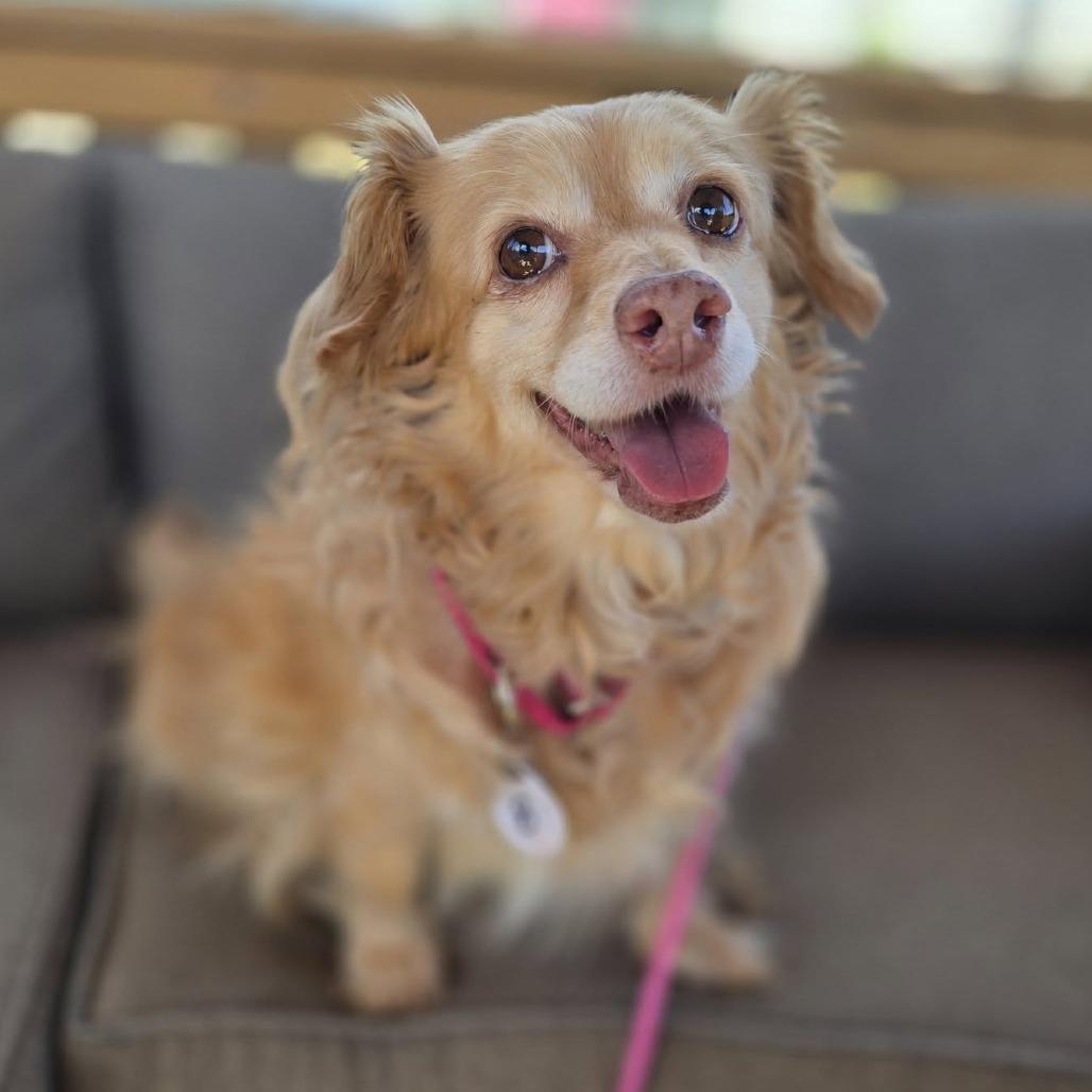 Marley Margherita — thumbnail 4