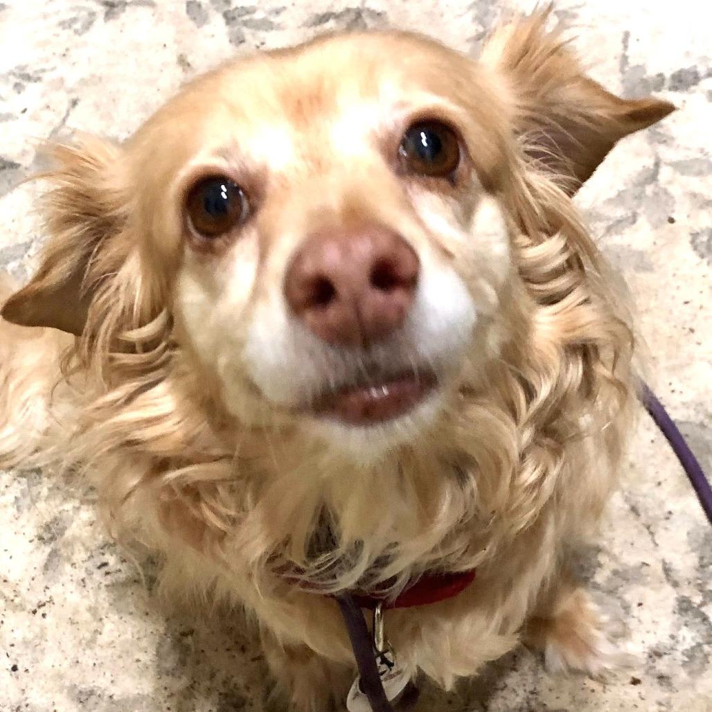 Marley Margherita — thumbnail 5