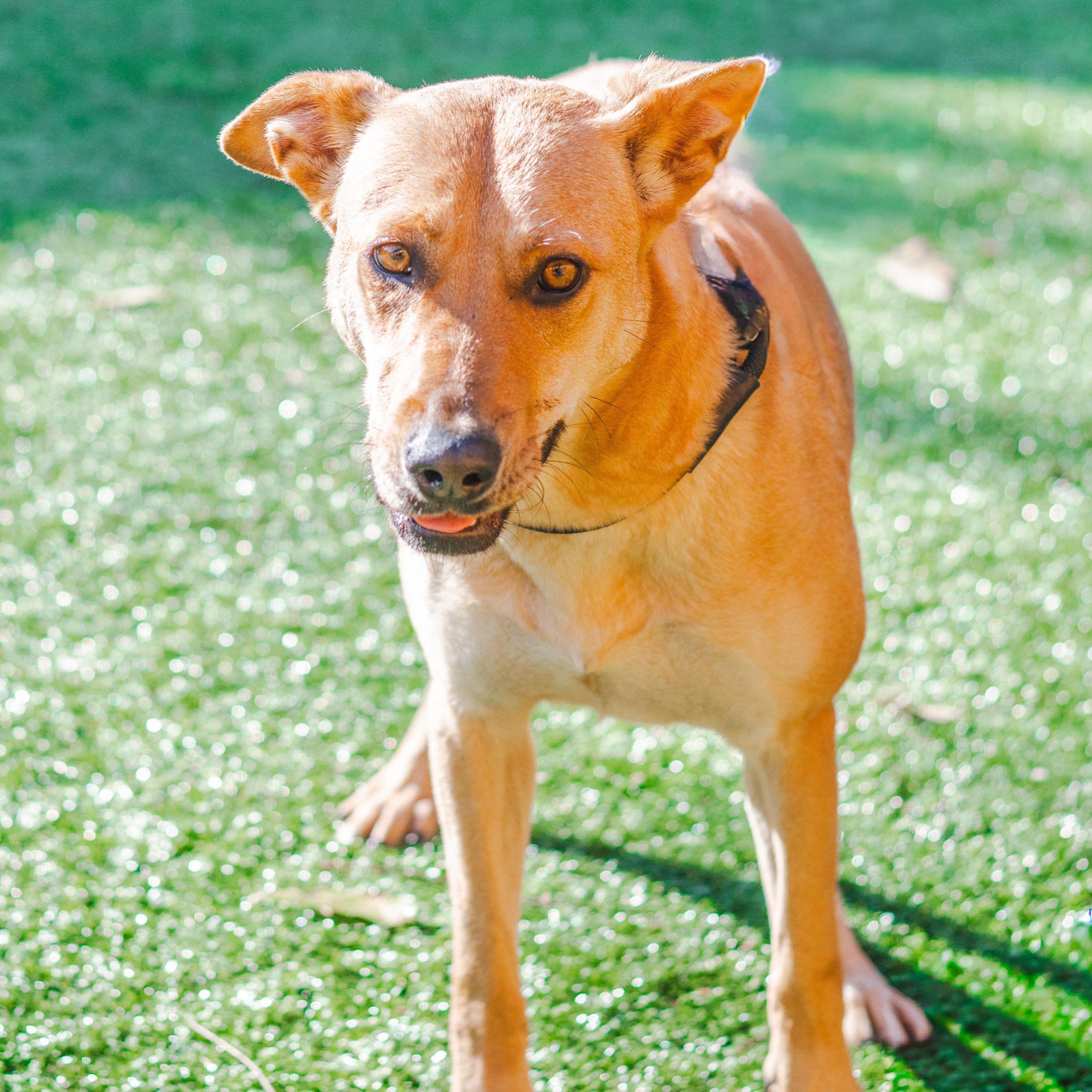 Kaleidoscope thumbnail 3