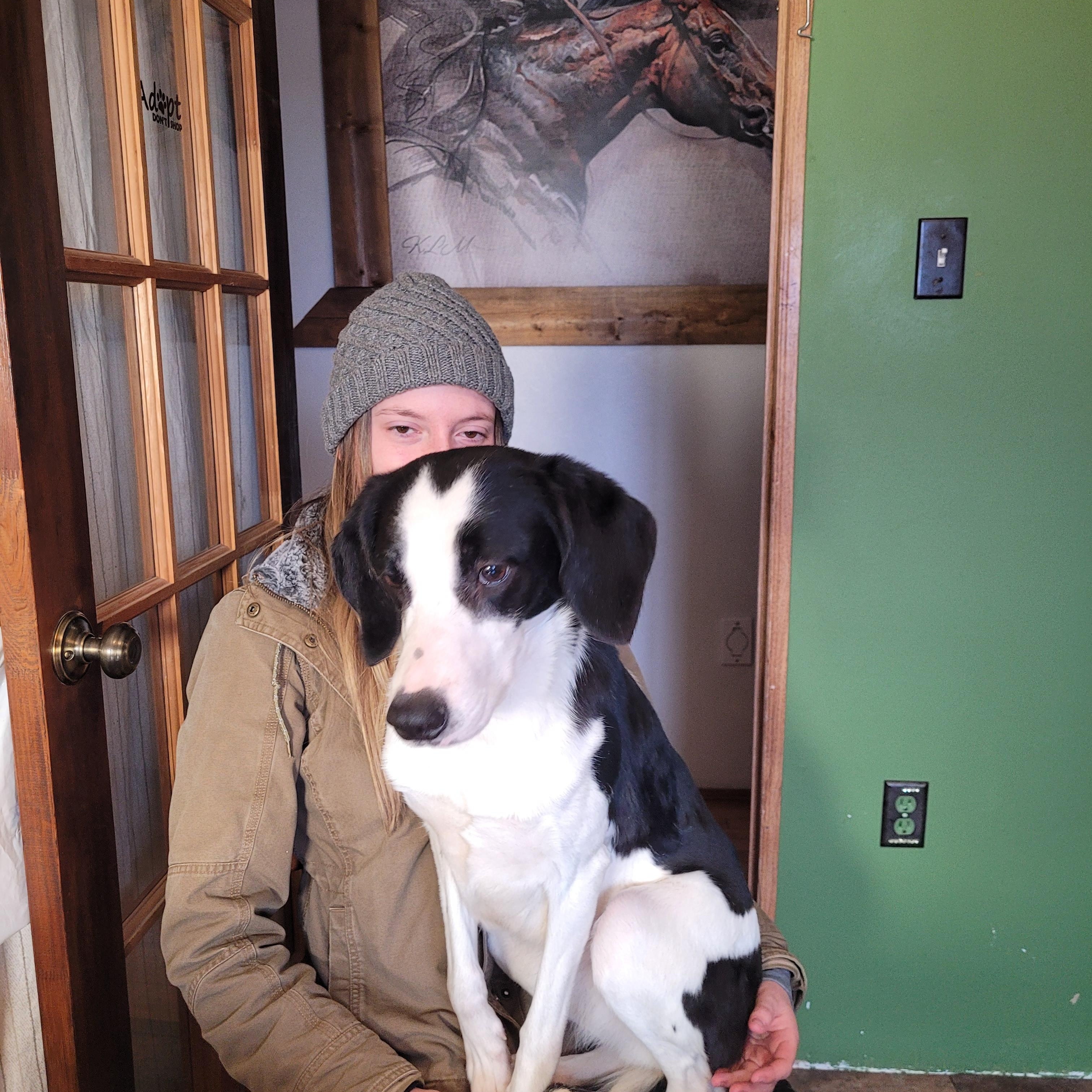 Enlarge Candy, a hold mixed breed in Lacombe, AB image 3/6