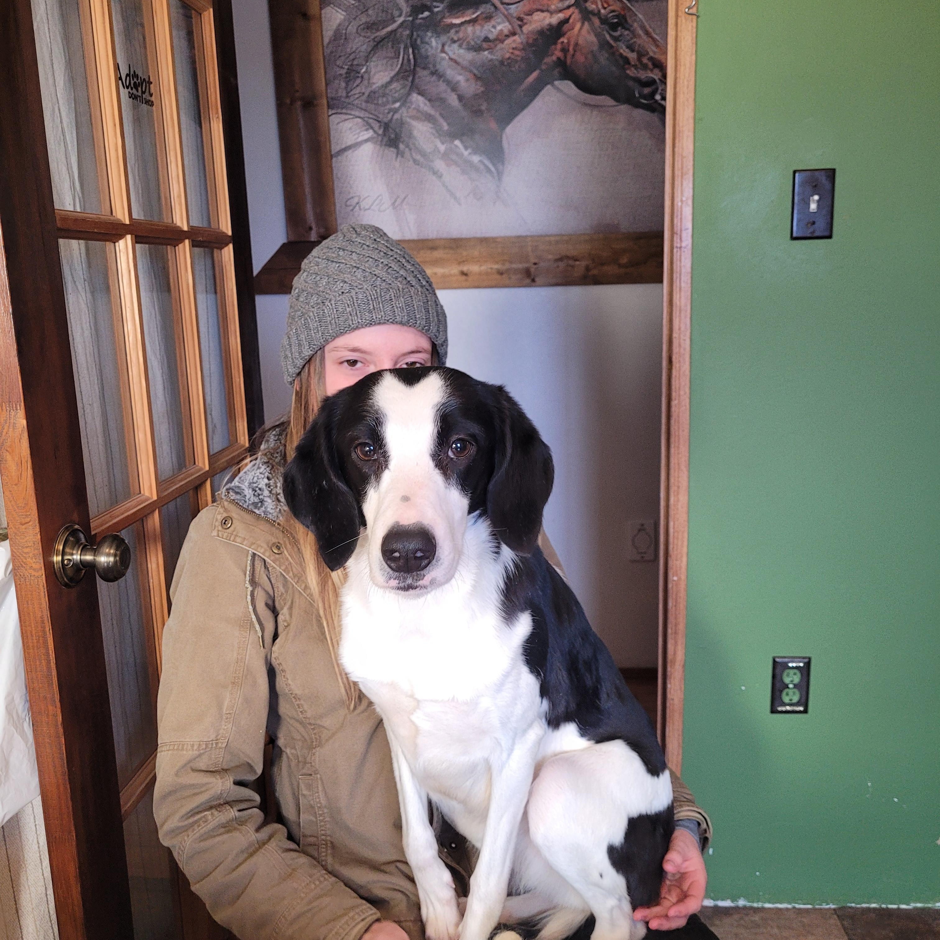 Enlarge Candy, a hold mixed breed in Lacombe, AB image 2/6