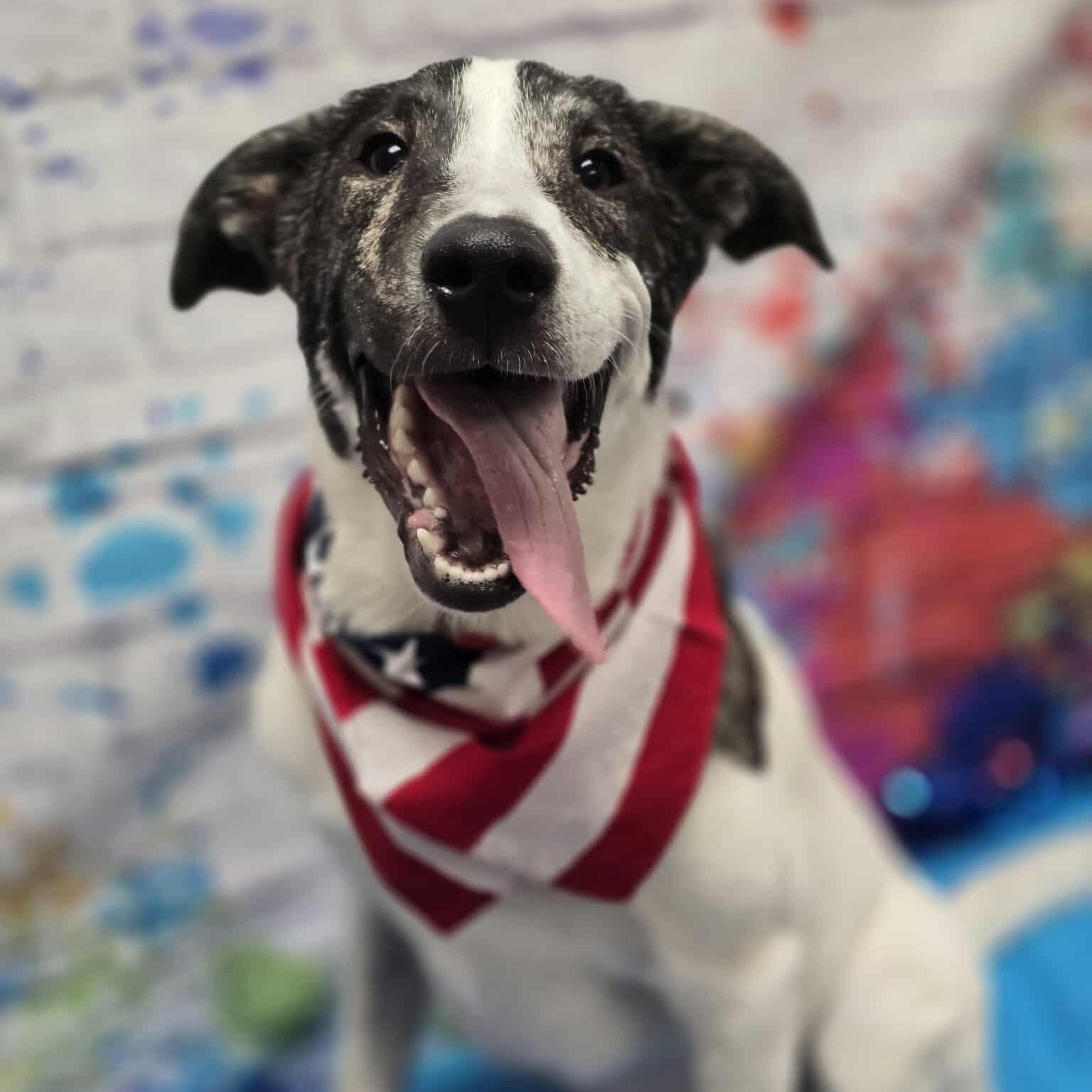 Gunner