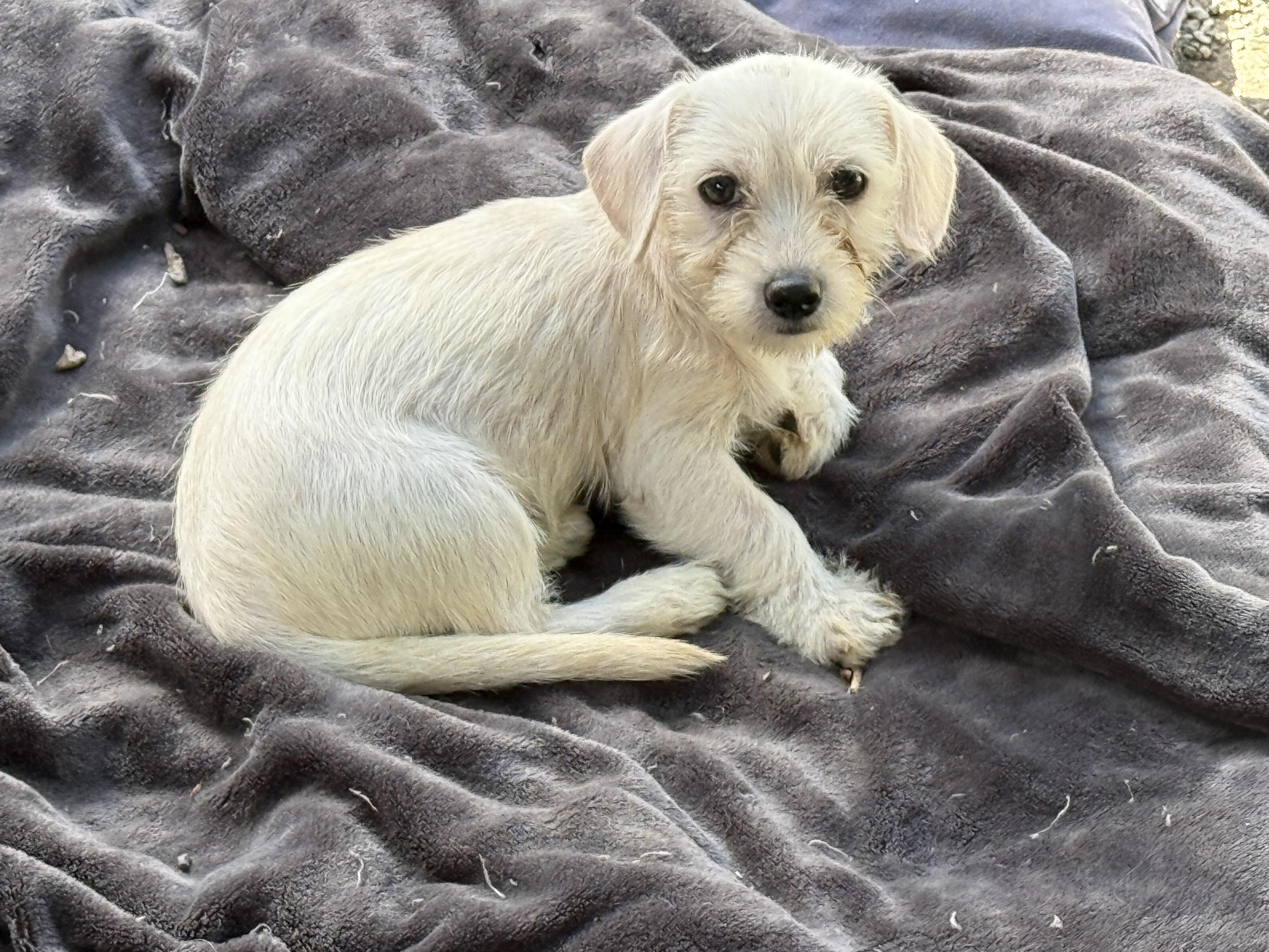 Ethel