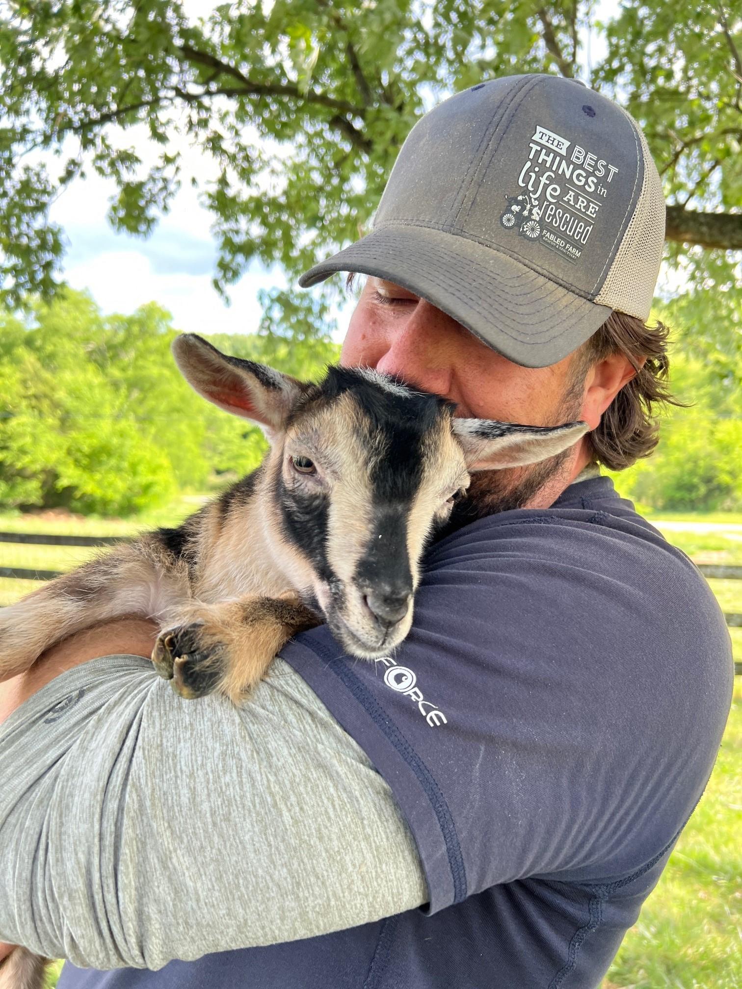 Ben & Jerry, a ADOPTABLE Nigerian Dwarf in Nashville, TN image 2/6