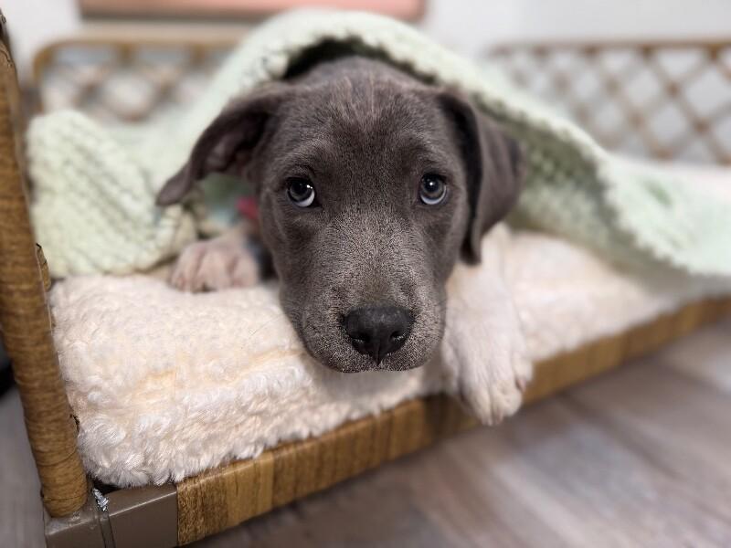 Sid baby cutes — thumbnail 2