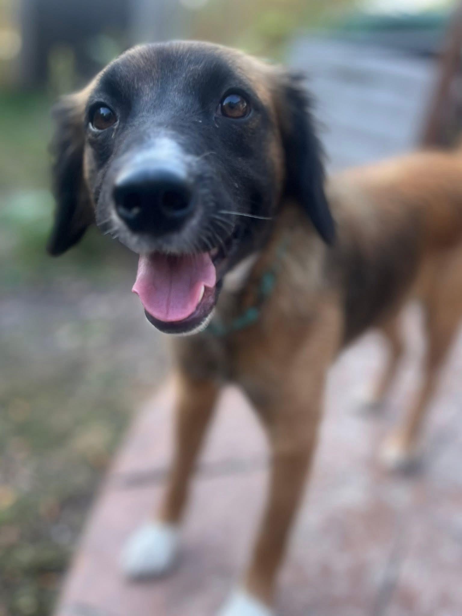 Bonnie