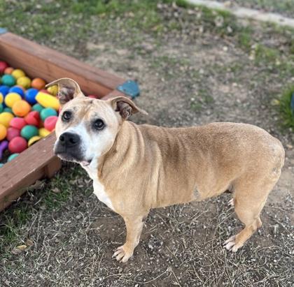 Star — thumbnail 2