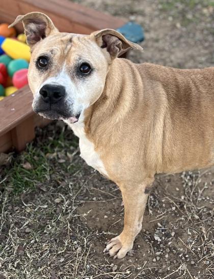 Star — thumbnail 3