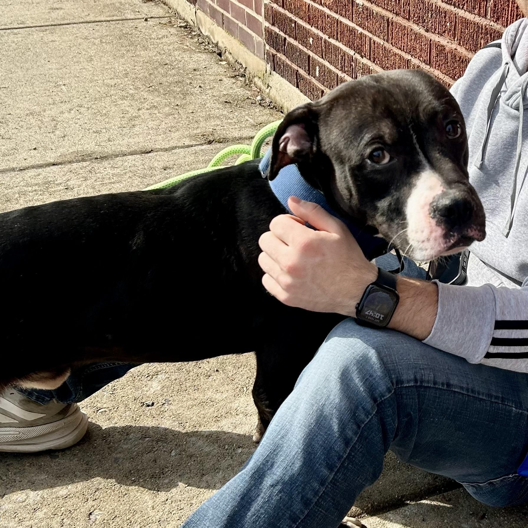 Parker — thumbnail 5