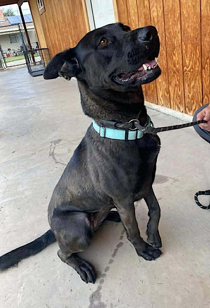 Adelina — thumbnail 4