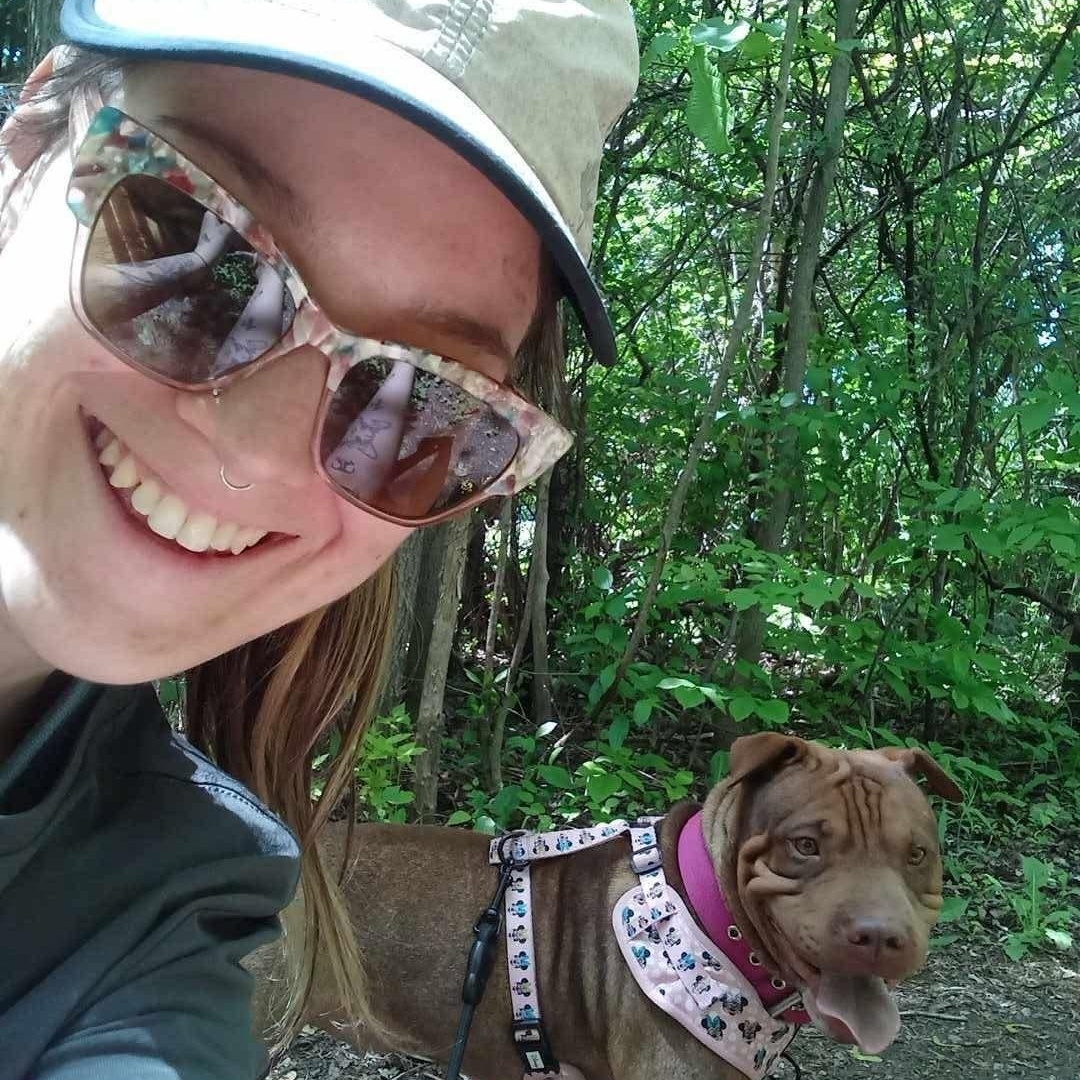 Roxie, a ADOPTABLE mixed breed in Woodstock, ON image 6/6