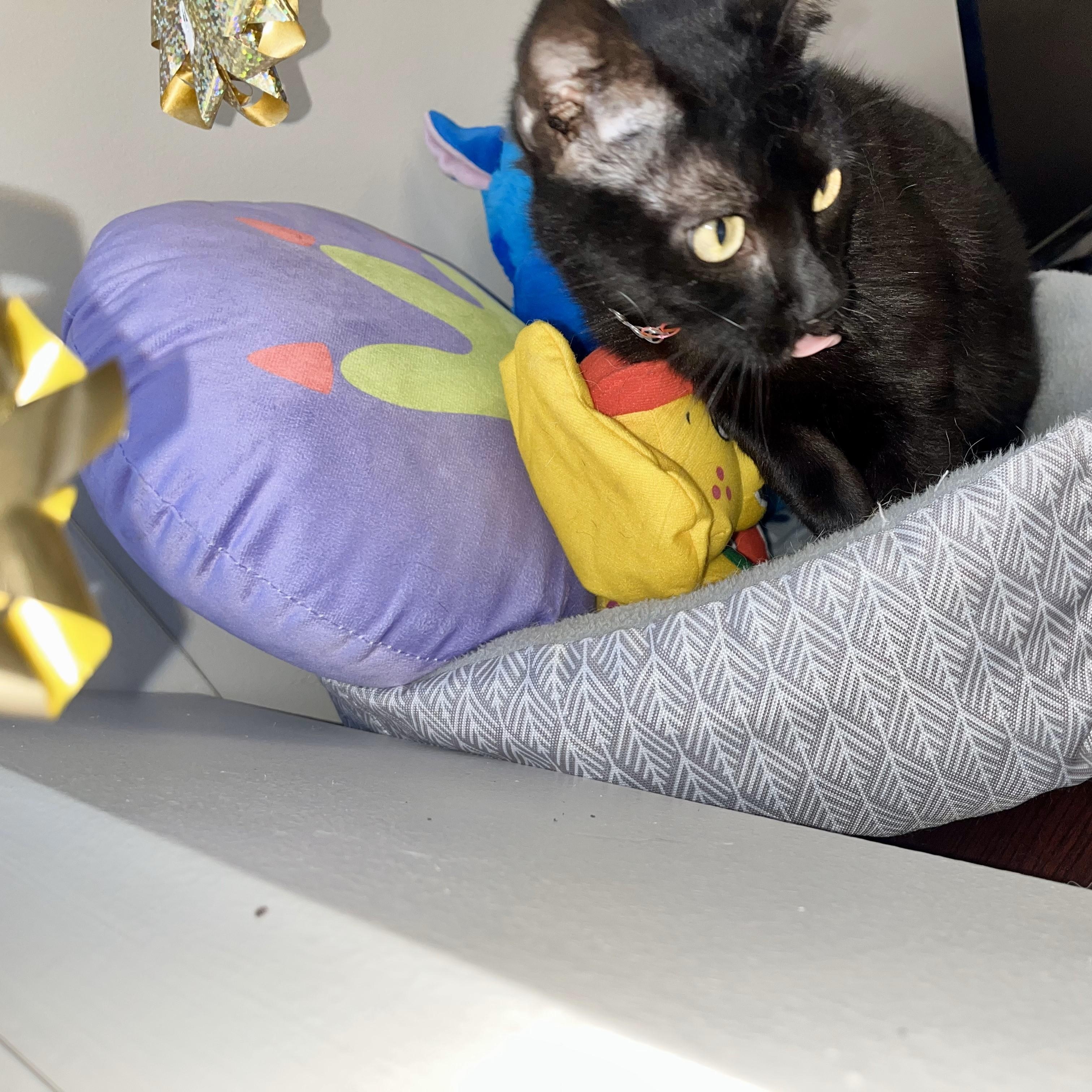 Blackout — thumbnail 3