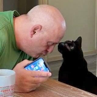 Enlarge Michela, a ADOPTABLE Domestic Short Hair in Warren, NJ image 3/4