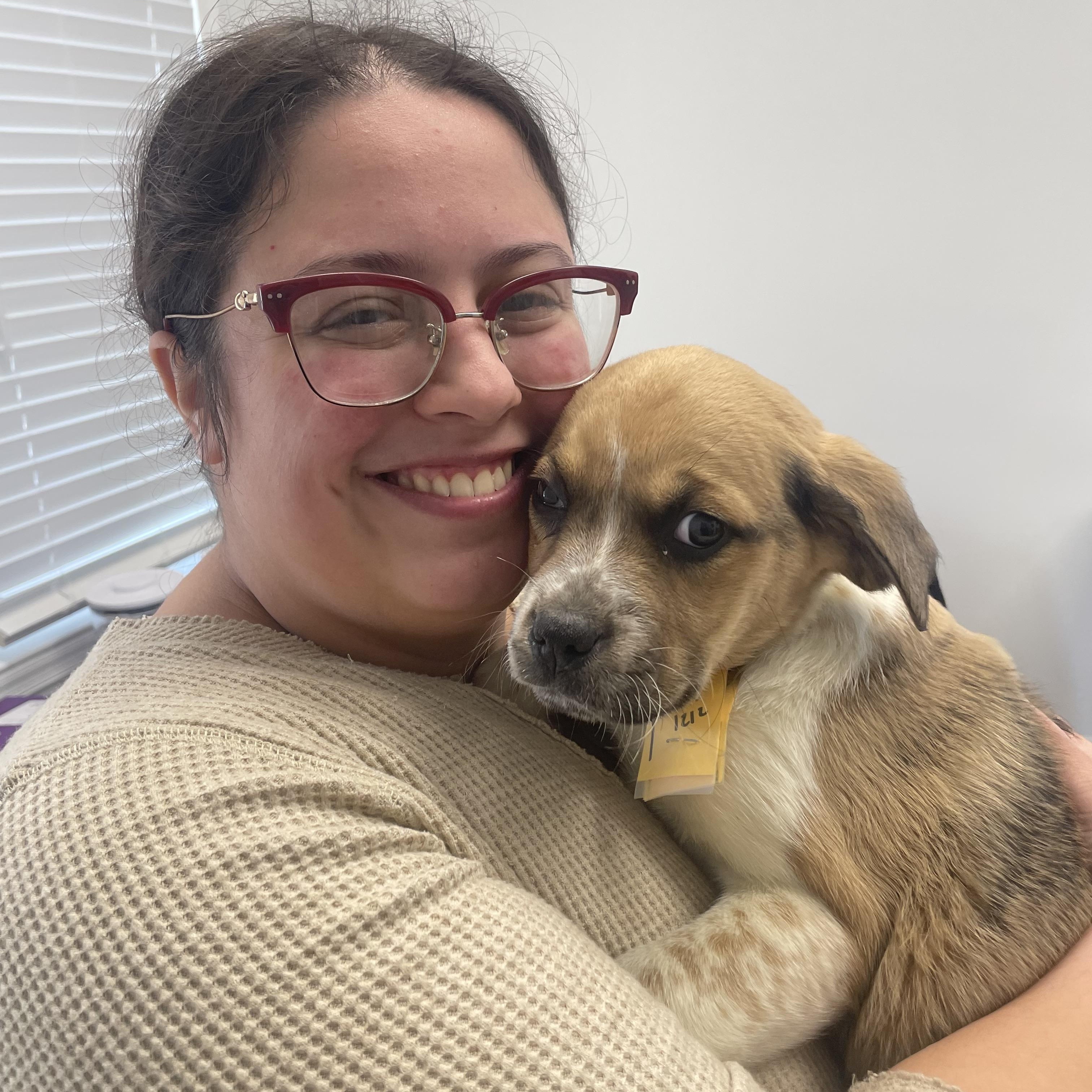 Enlarge Cannoli, an adopted mixed breed in Columbia, MD image 3/4