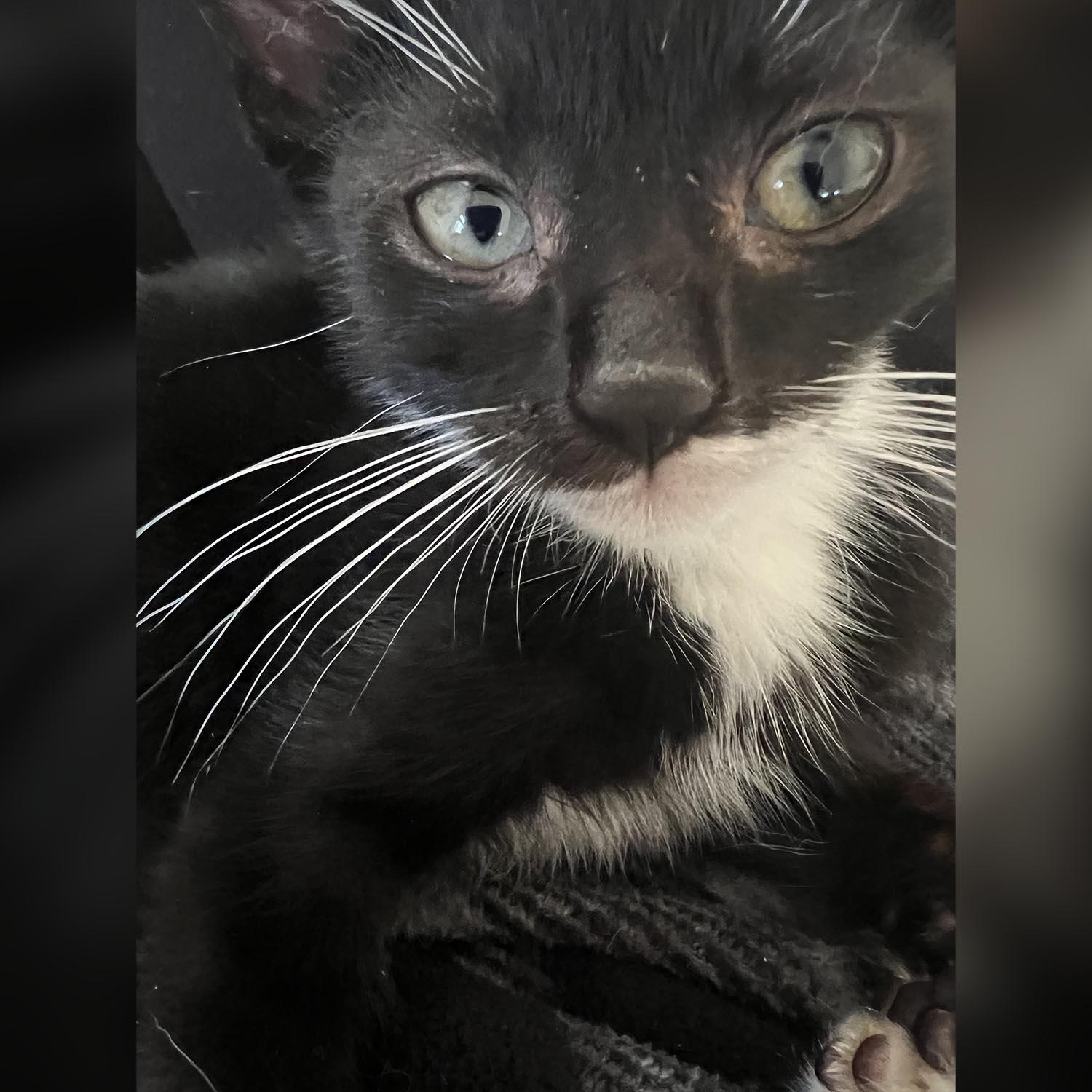 Salem