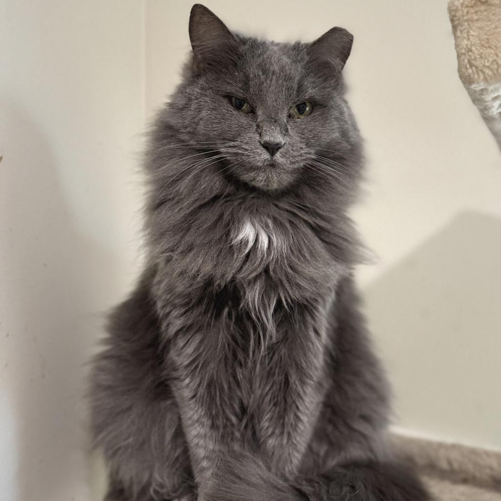 Bonnie — thumbnail 2