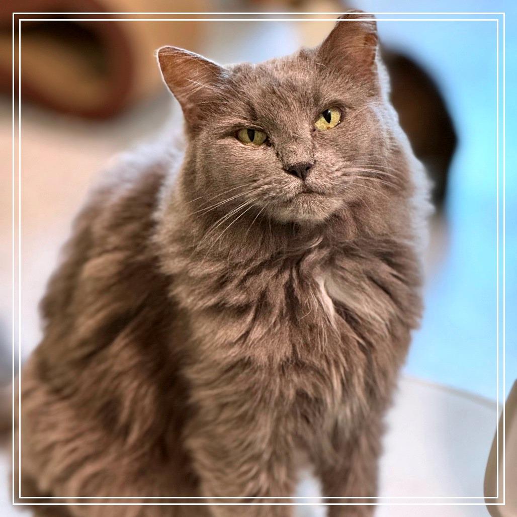 Bonnie — thumbnail 3