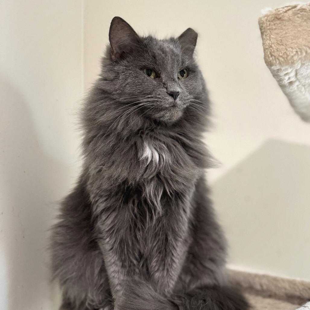 Bonnie — thumbnail 4