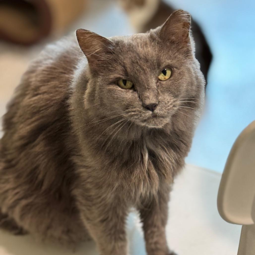 Bonnie — thumbnail 5