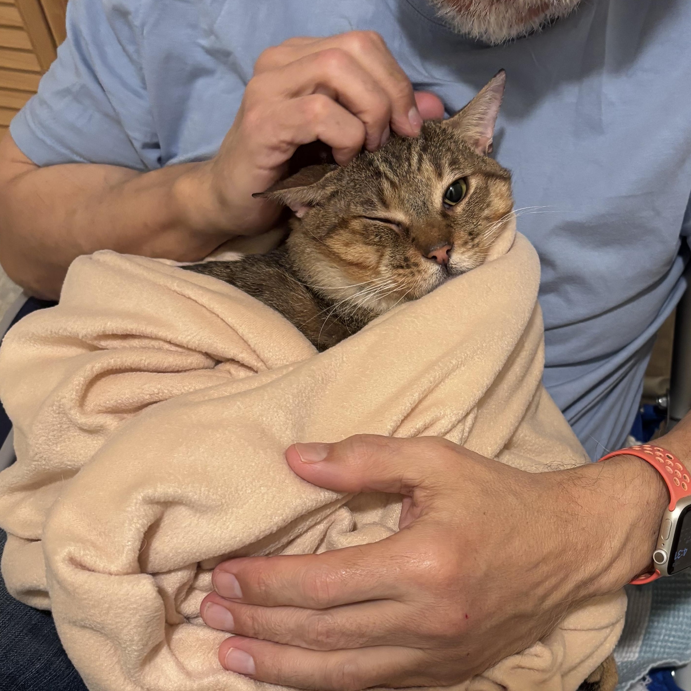 Neufie — thumbnail 2