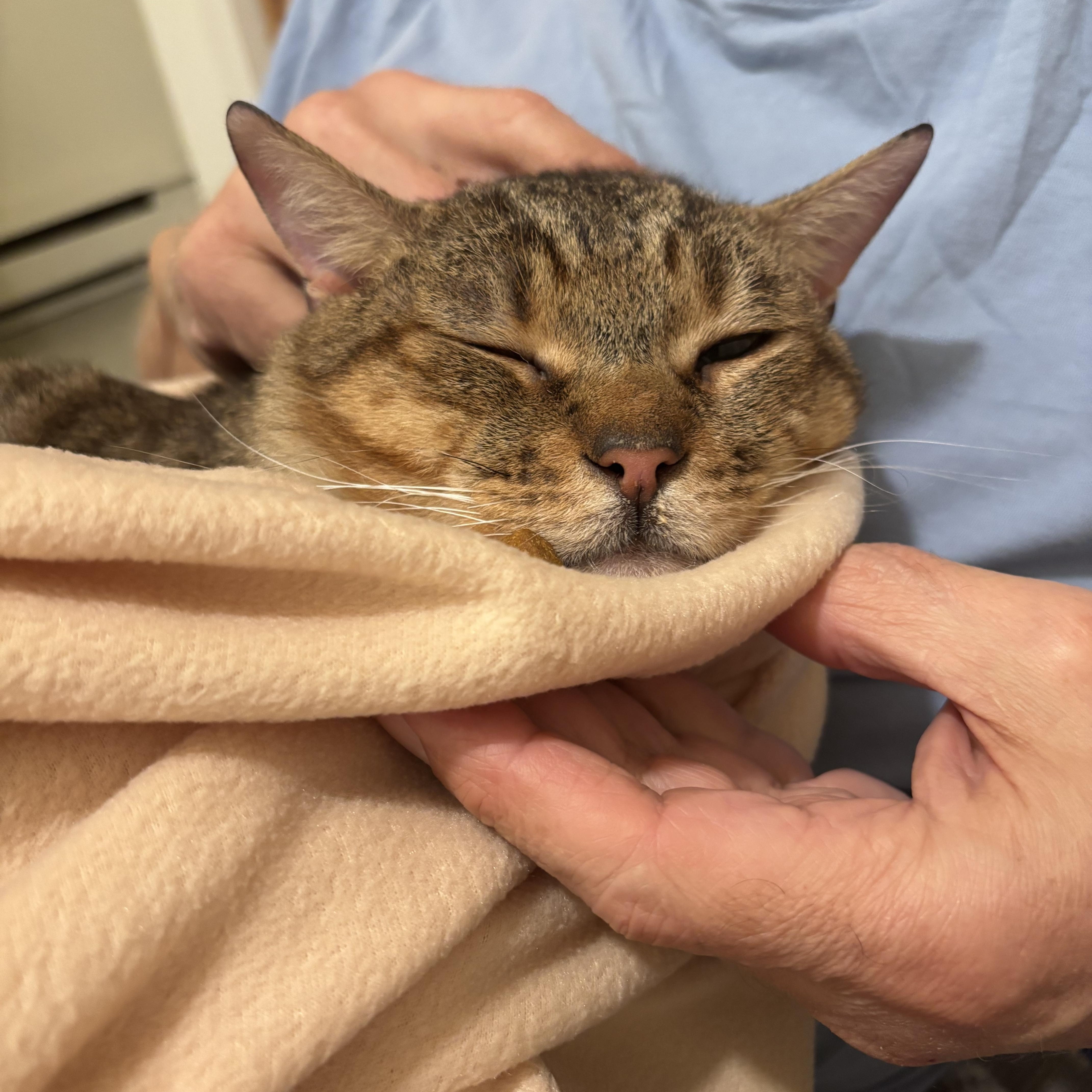 Neufie — thumbnail 3