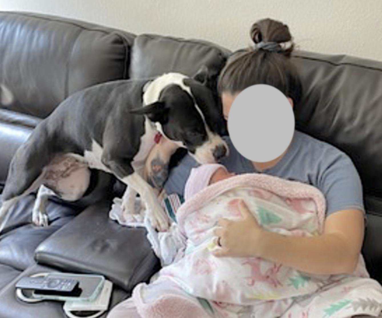 Katie — thumbnail 4