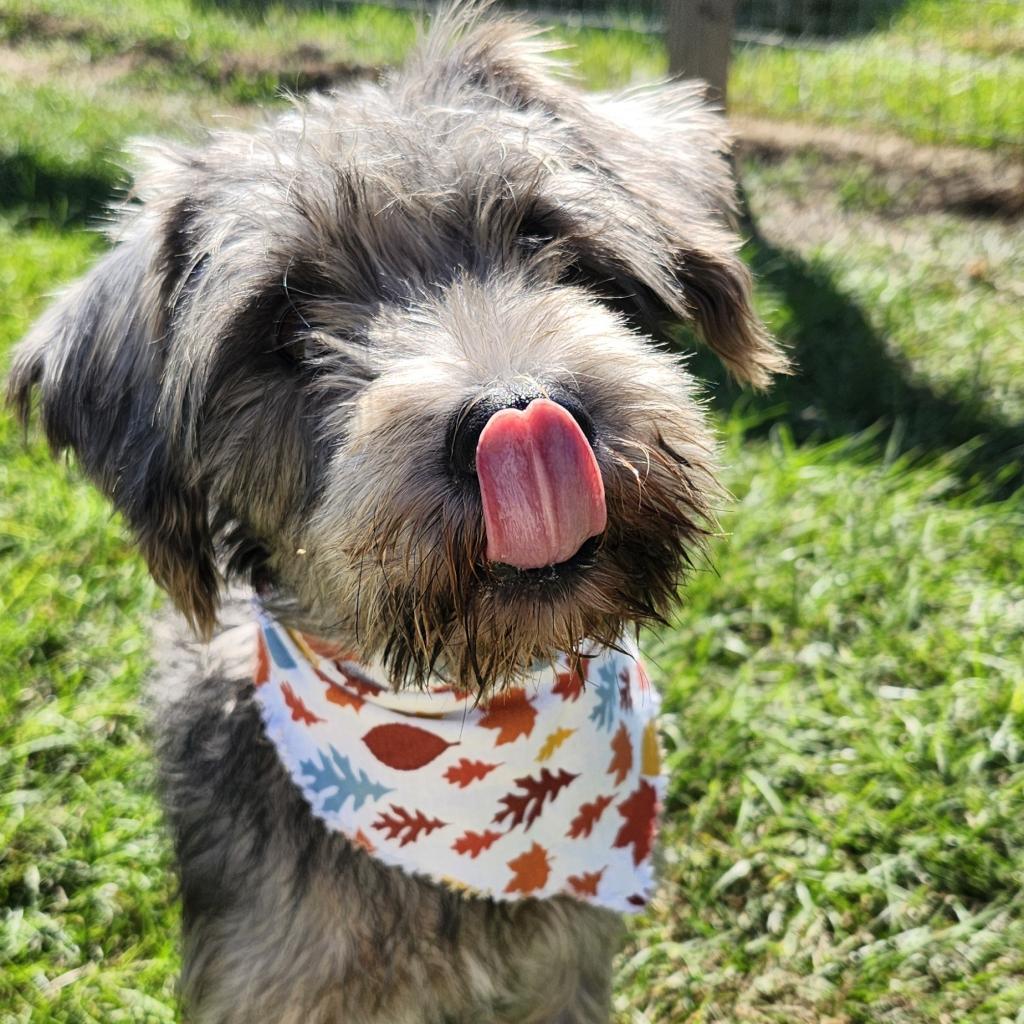 Scheana Dustie Chai thumbnail 5