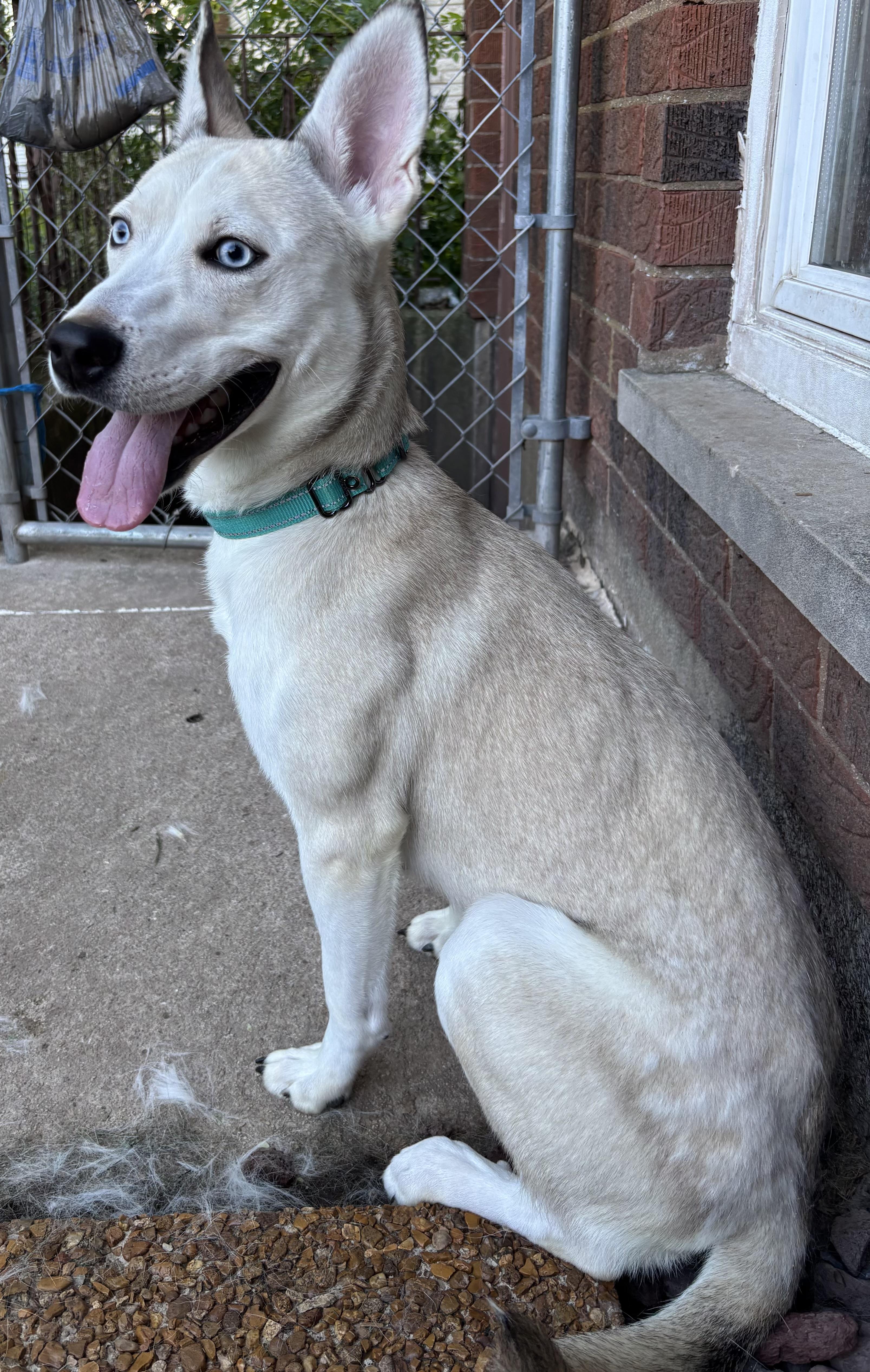 Delilah