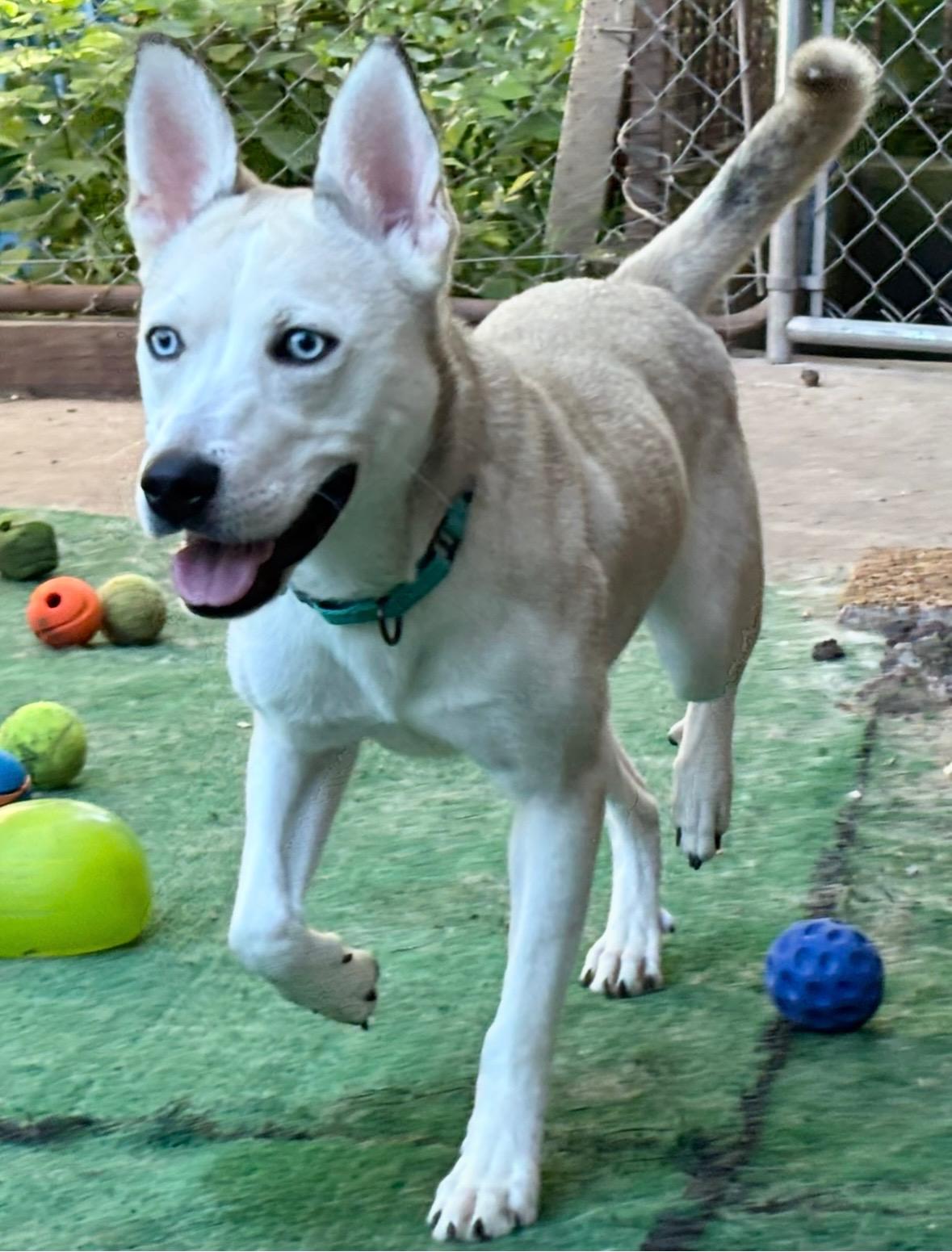 Delilah