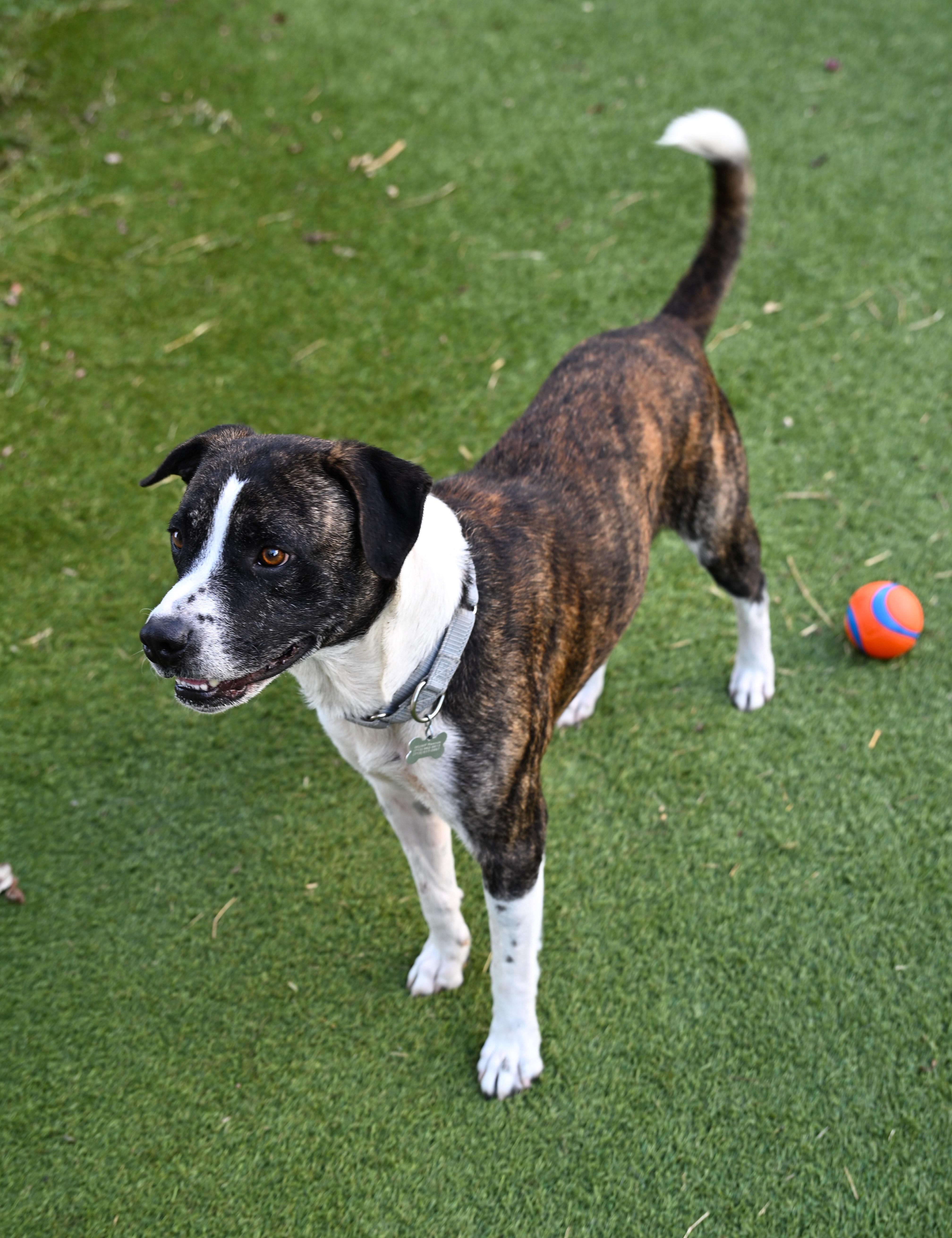 Odem — thumbnail 2