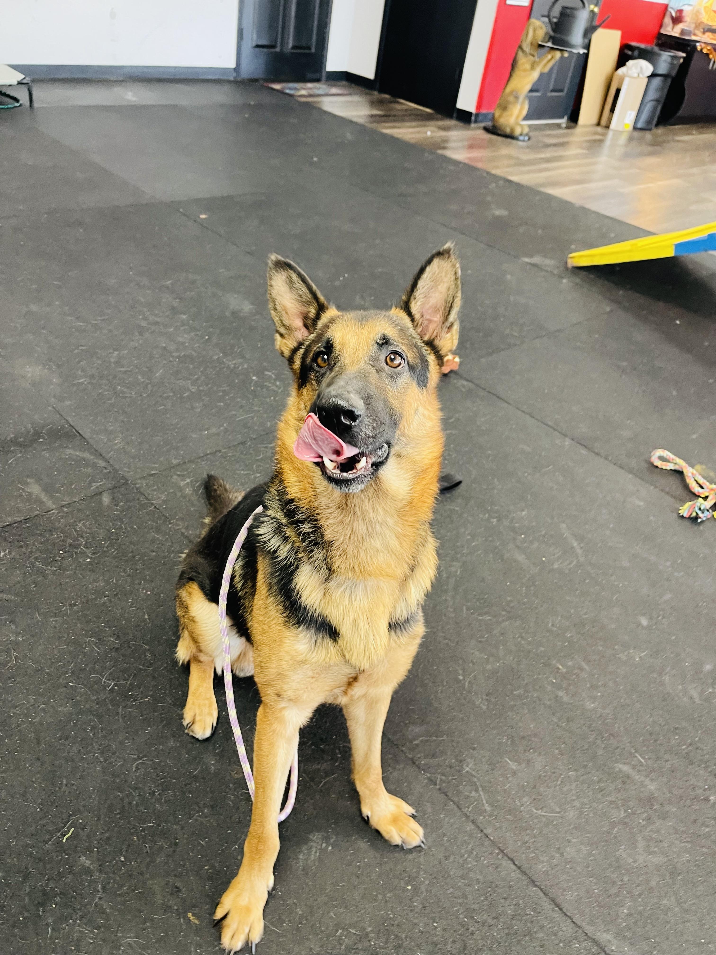 Maverick