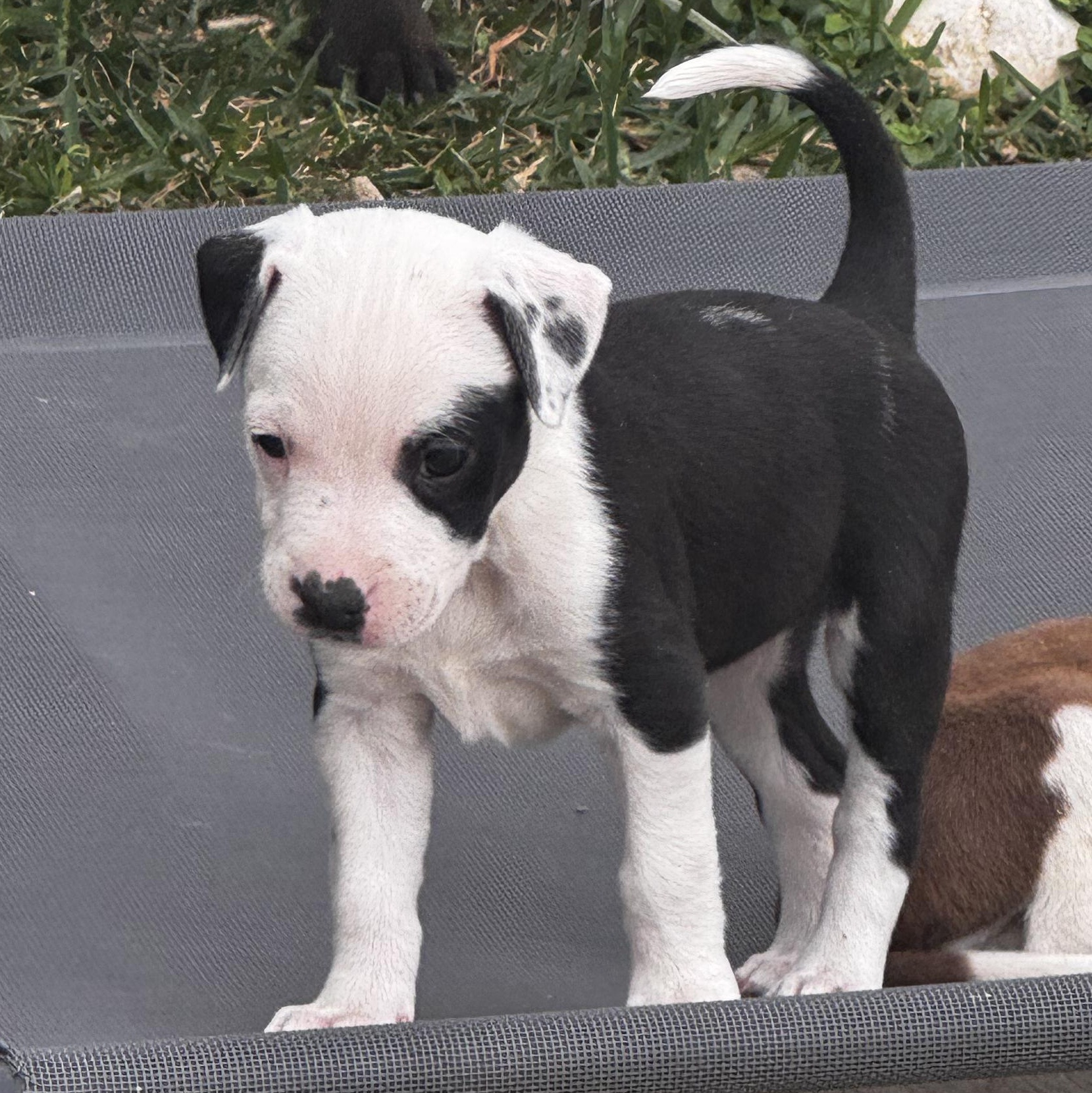 Monica — thumbnail 5