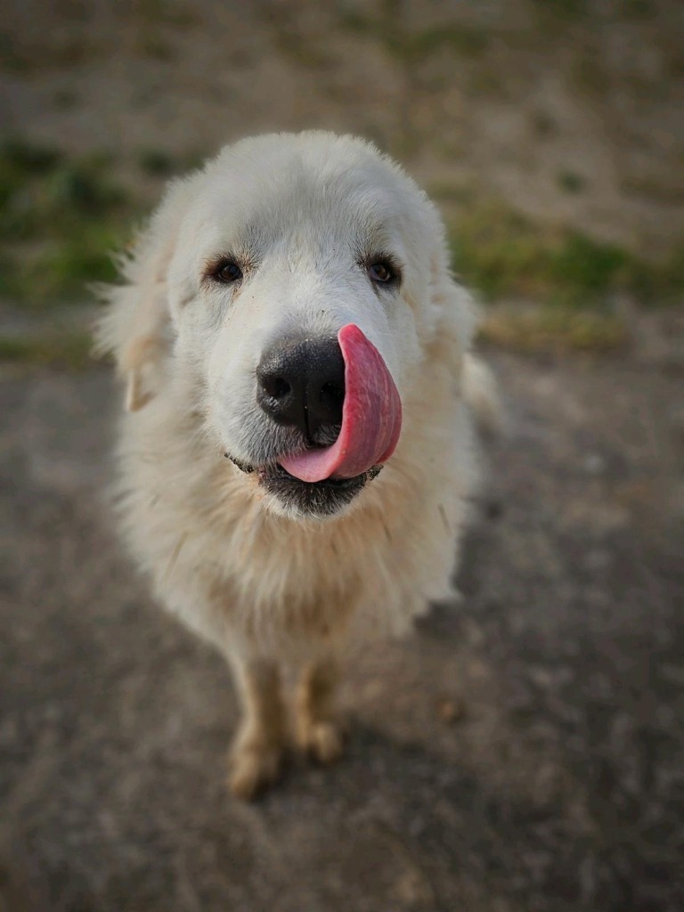 Igor photo 2