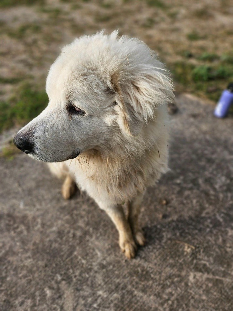 Igor photo 4