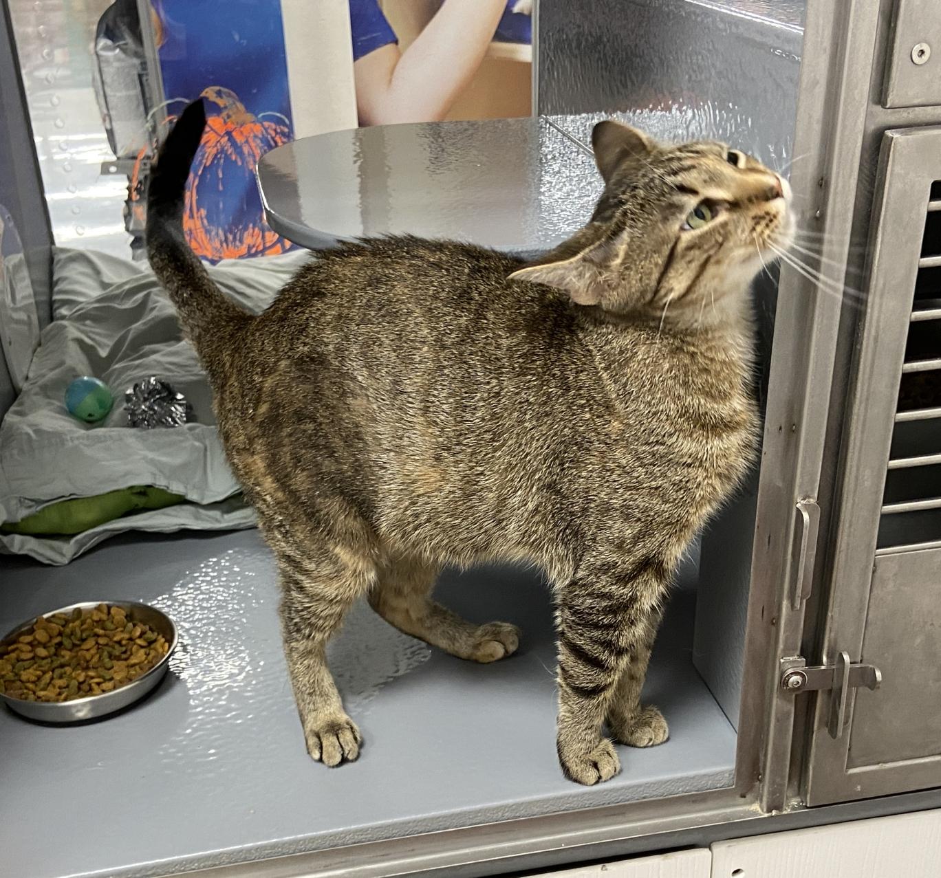 Lois Lanekc thumbnail 2