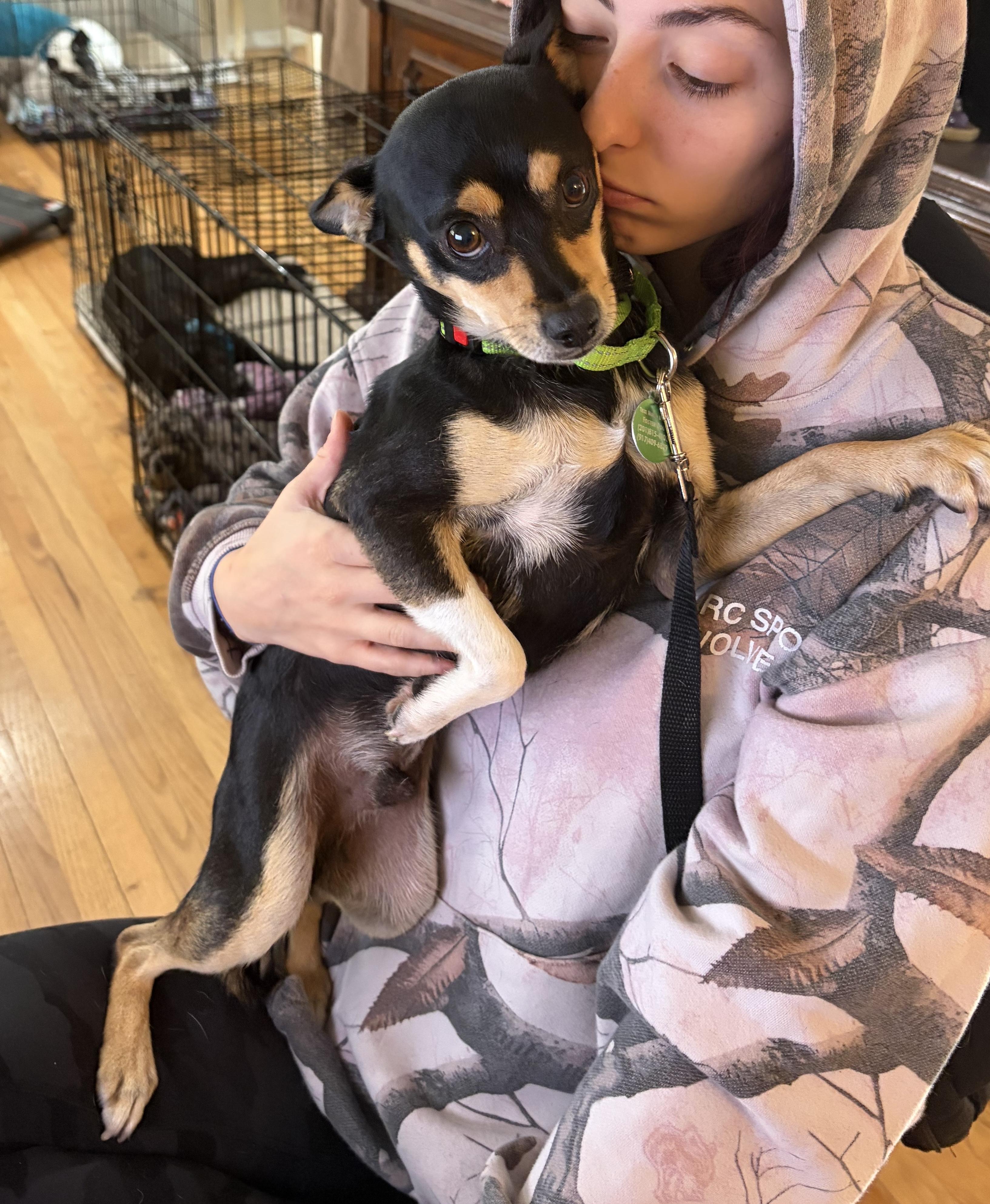 Hotlanta, a Adoptable mixed breed in Brooklyn, NY image 2/6