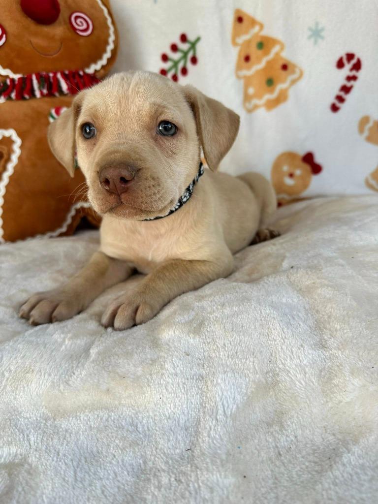 October Gentry thumbnail 2