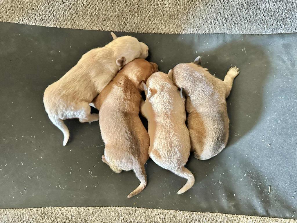 October Gentry thumbnail 3