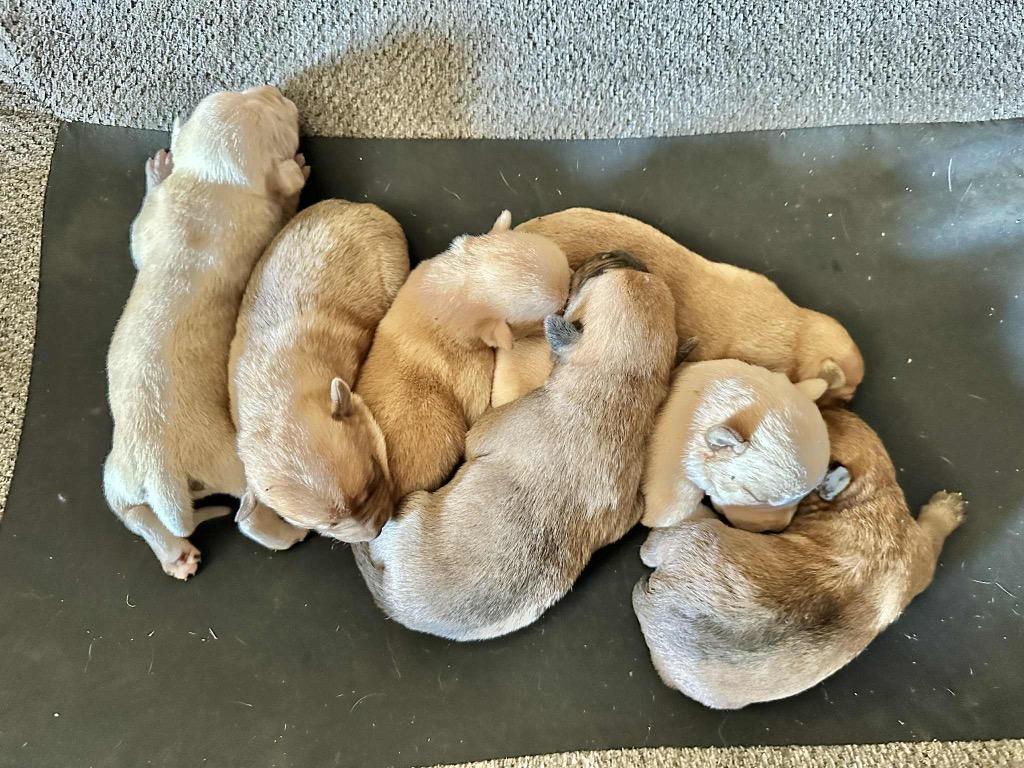 October Gentry thumbnail 4